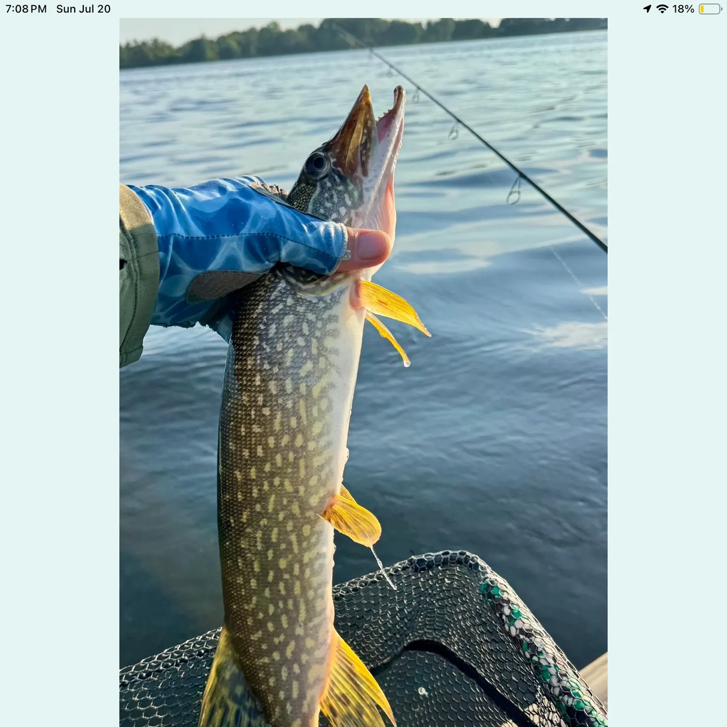 recently logged catches