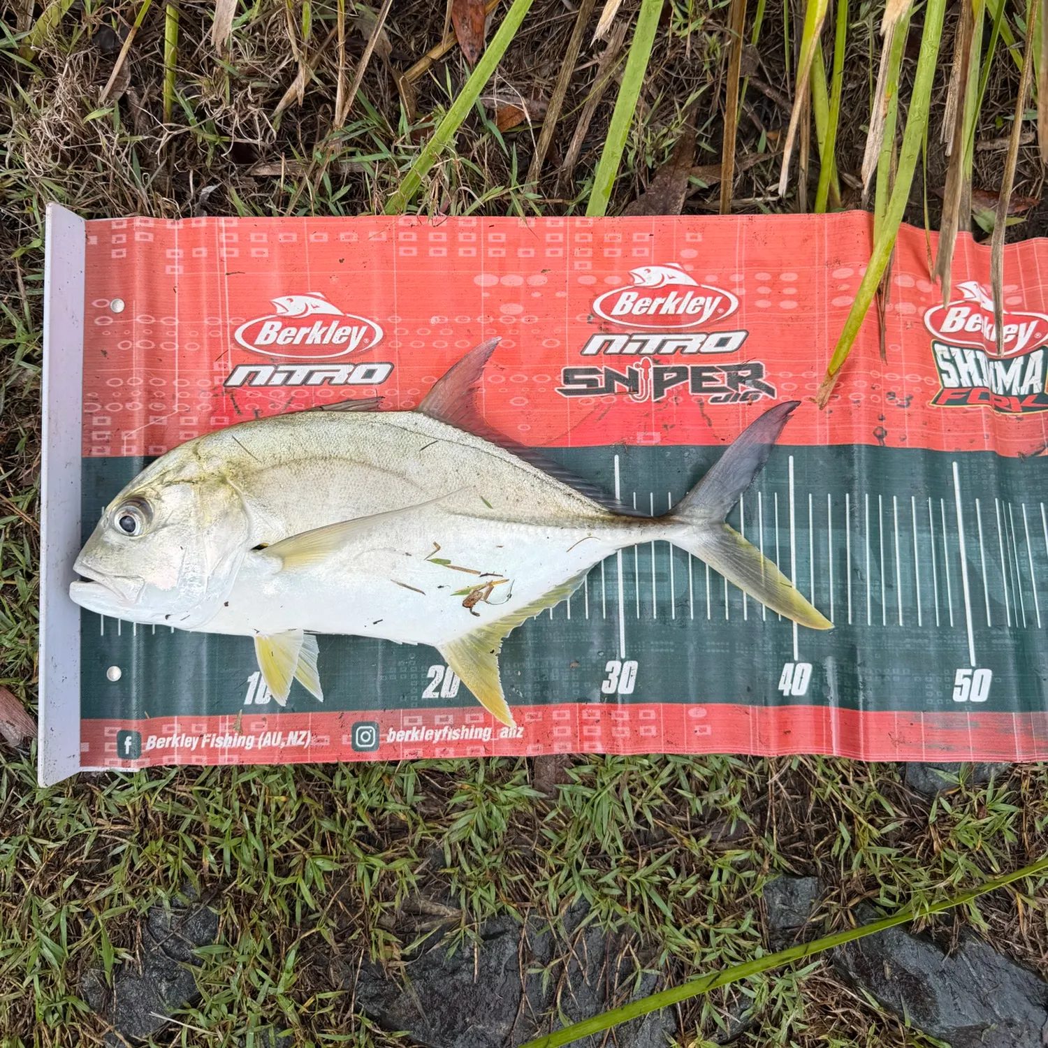 Giant trevally caught on Fishbrain