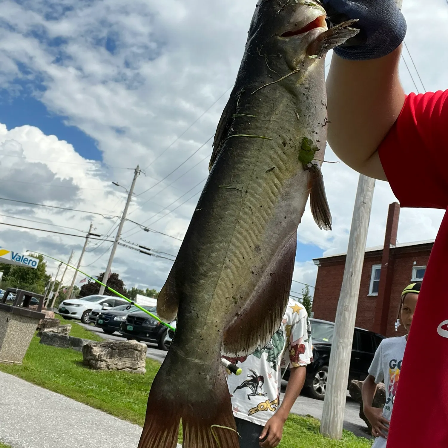 catch
