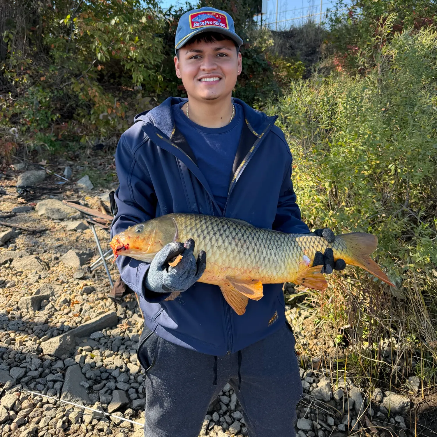 Common carp caught on Fishbrain