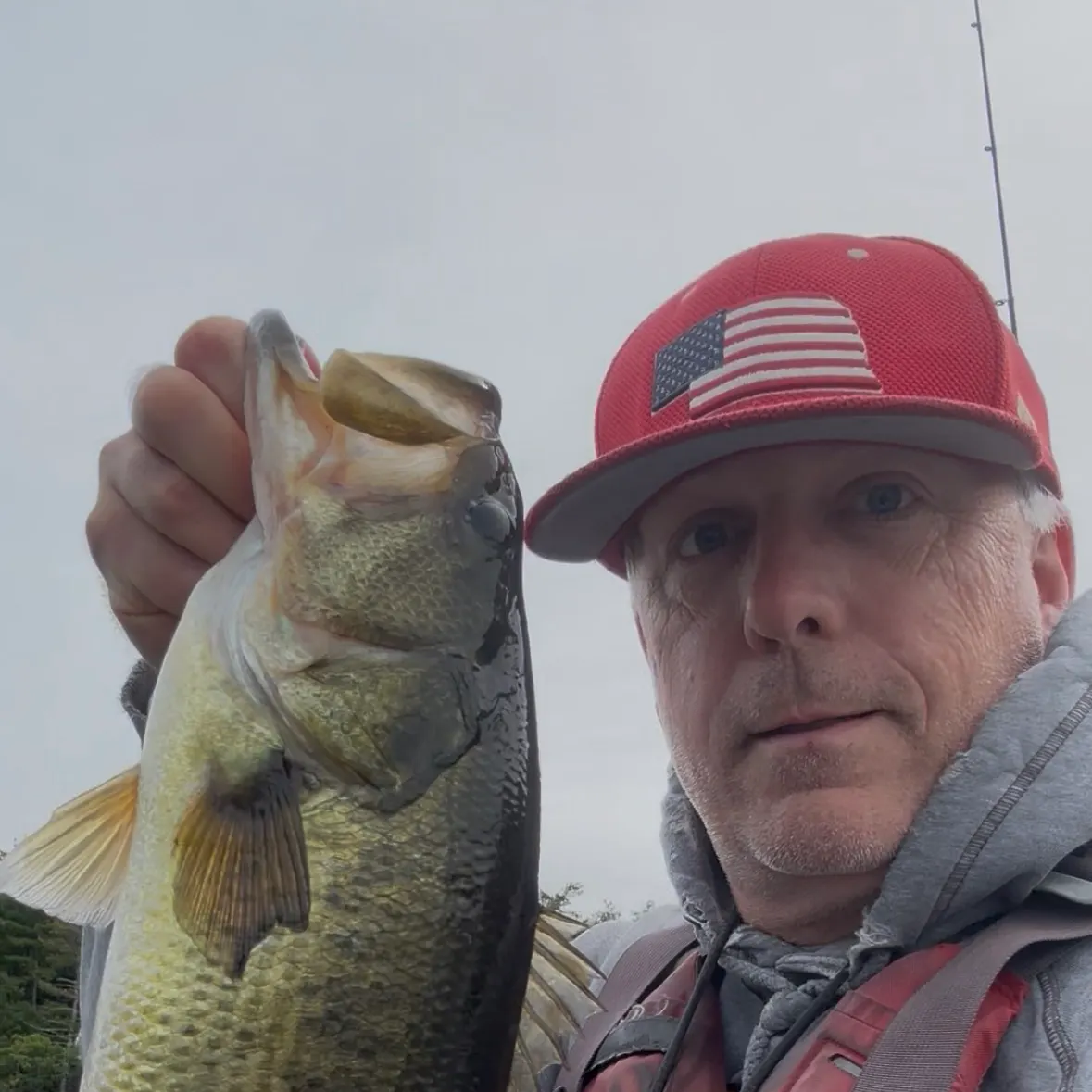Largemouth bass caught on Fishbrain