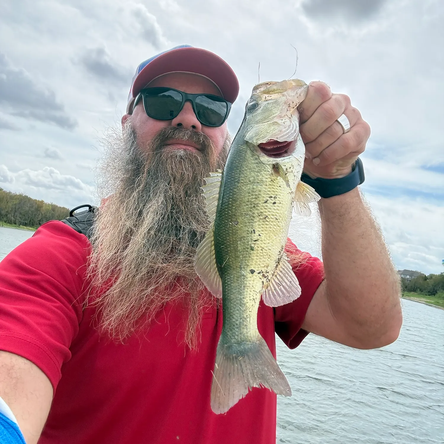 Largemouth bass caught on Fishbrain