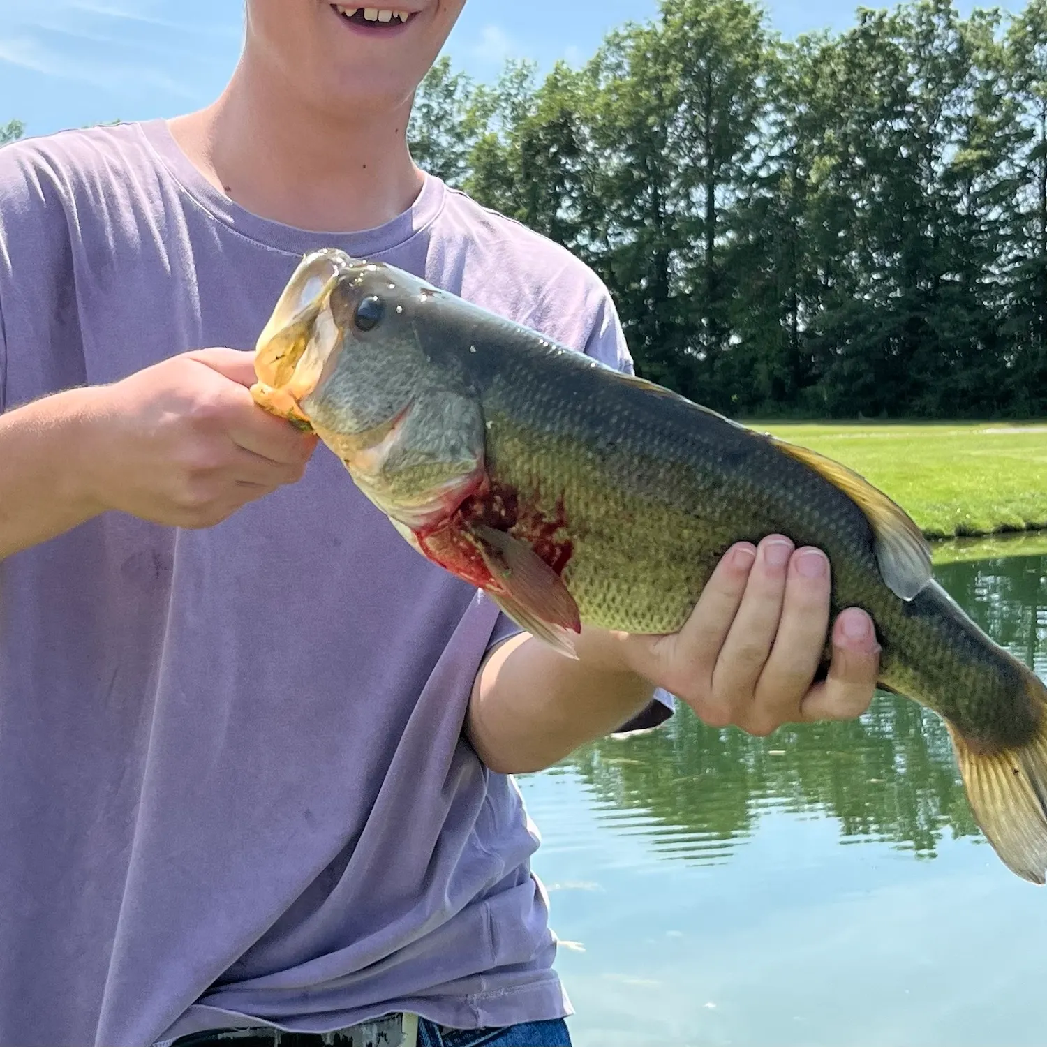 Largemouth bass caught on Fishbrain