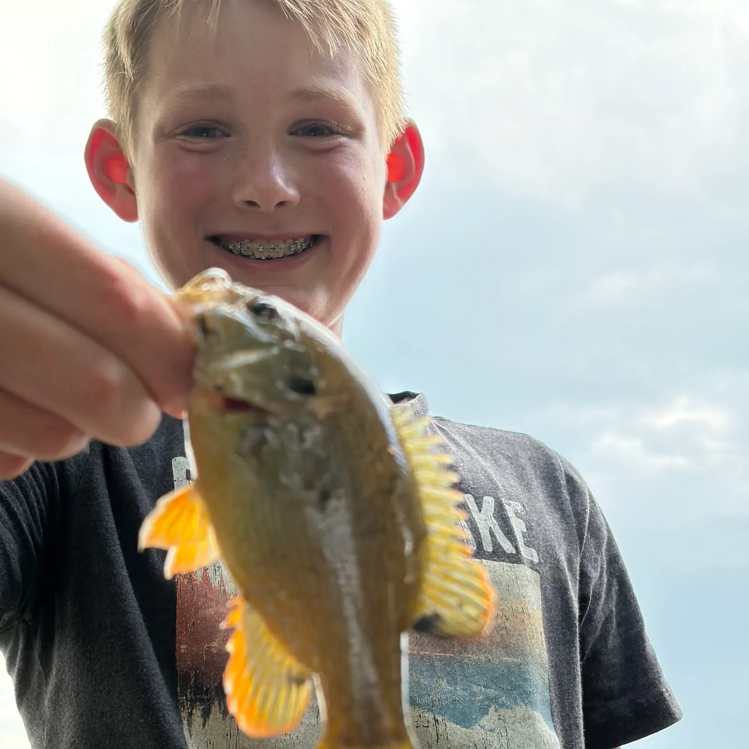 Greengill hybrid caught on Fishbrain