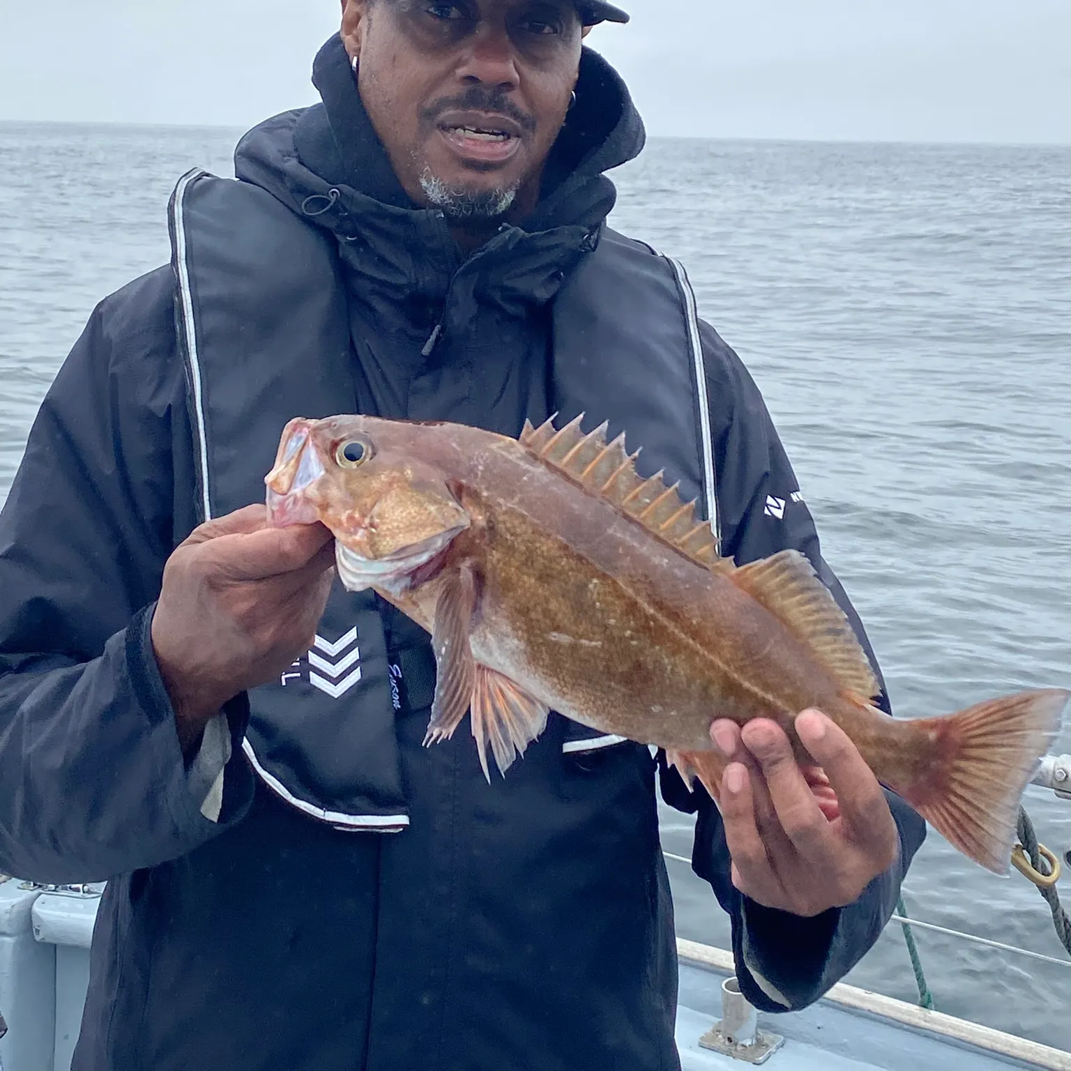 The most recent Black rockfish catches on Fishbrain