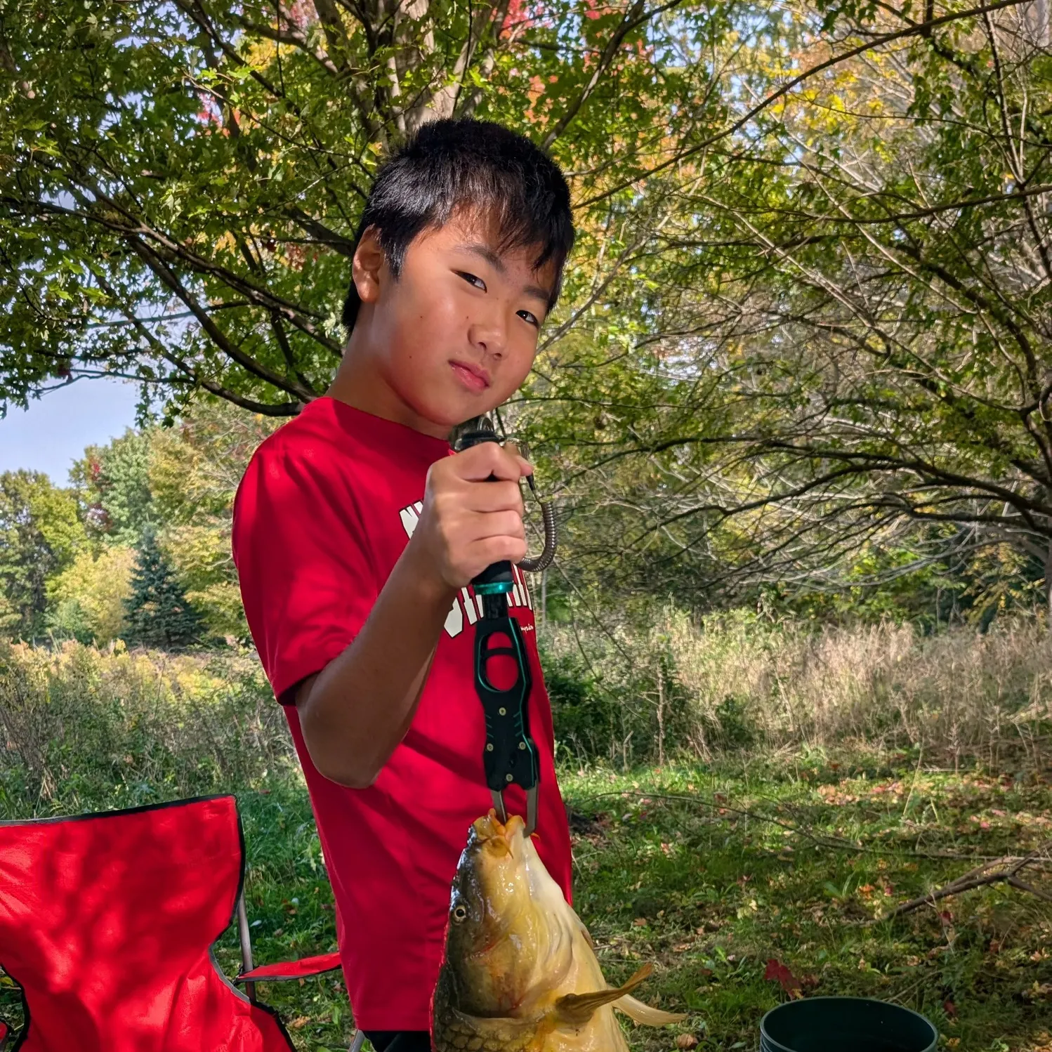 Common carp caught on Fishbrain