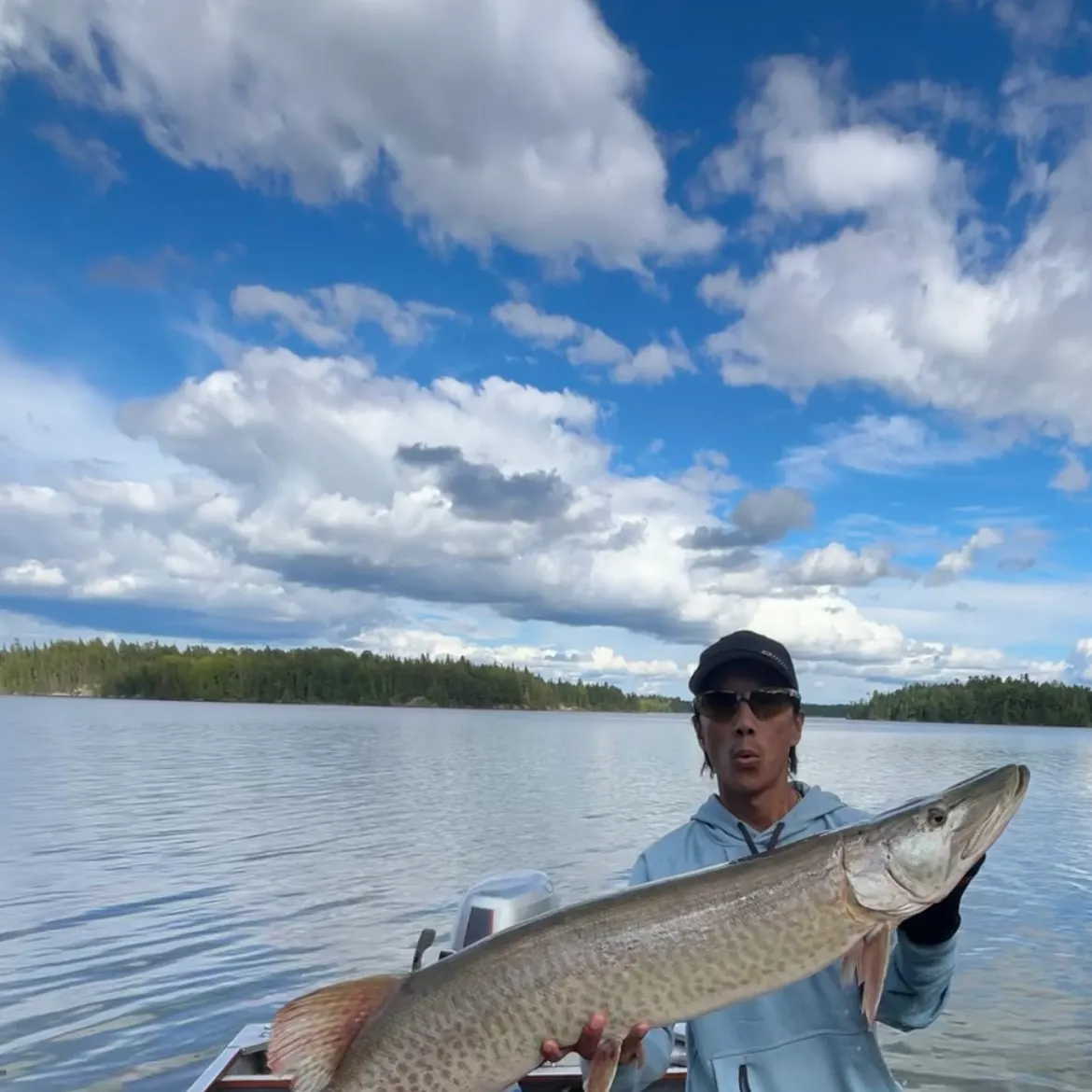 Muskie caught on Fishbrain