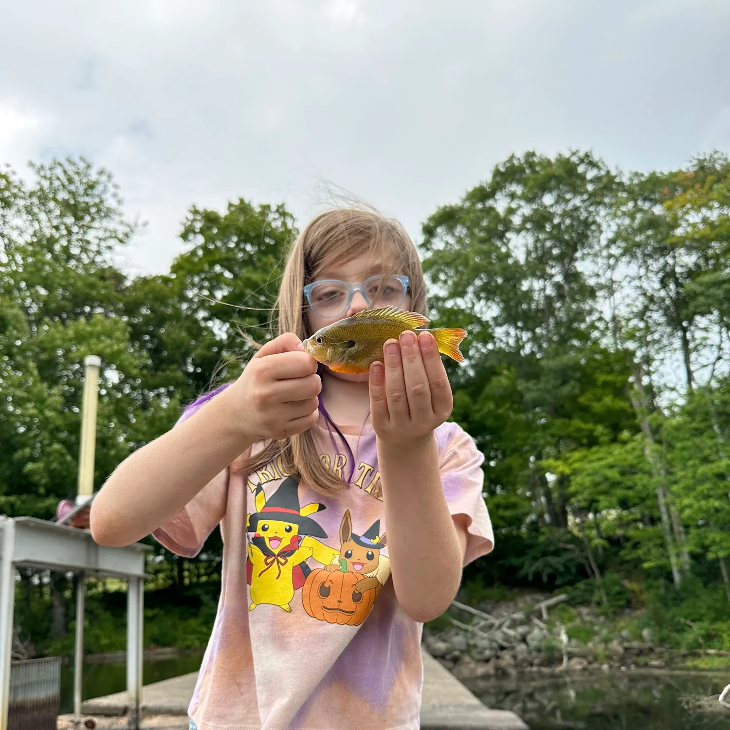 Redbreast sunfish caught on Fishbrain