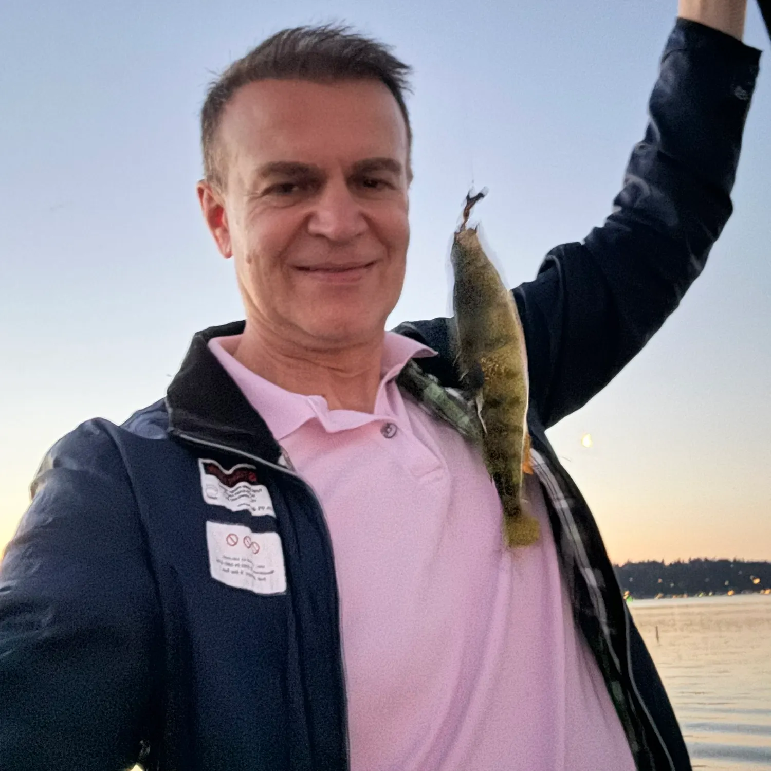 Yellow perch caught on Fishbrain