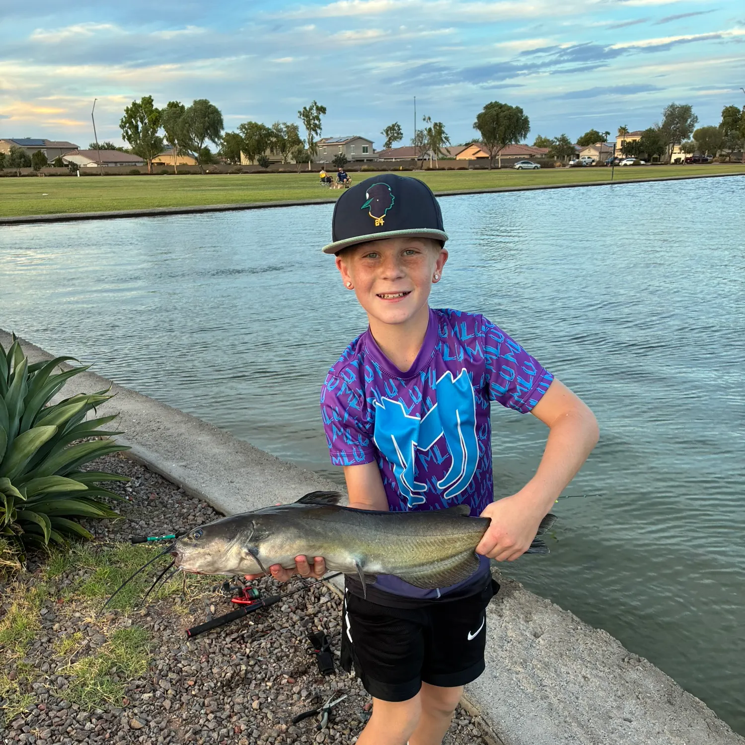 Channel catfish caught on Fishbrain