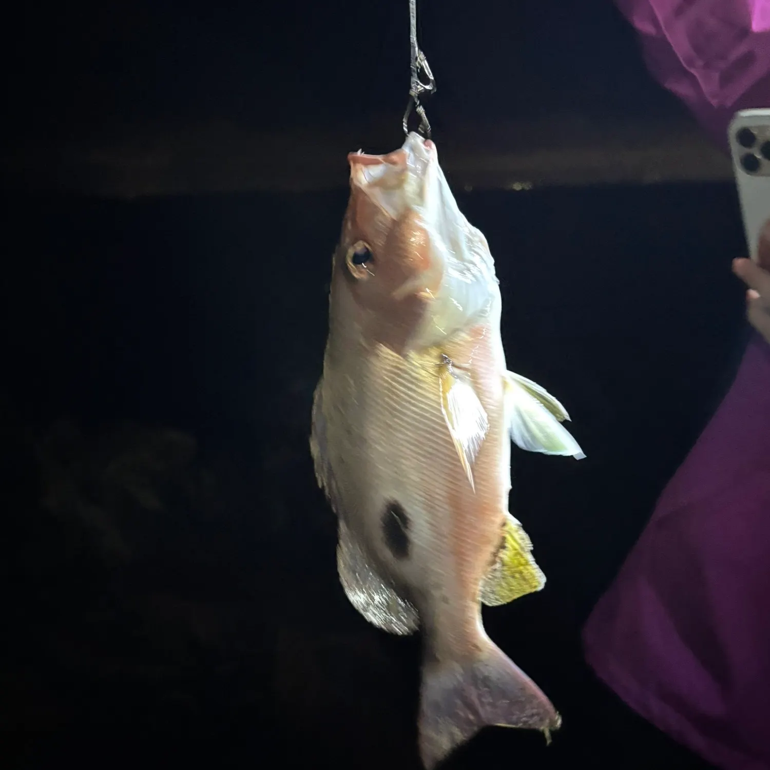 most liked catch image