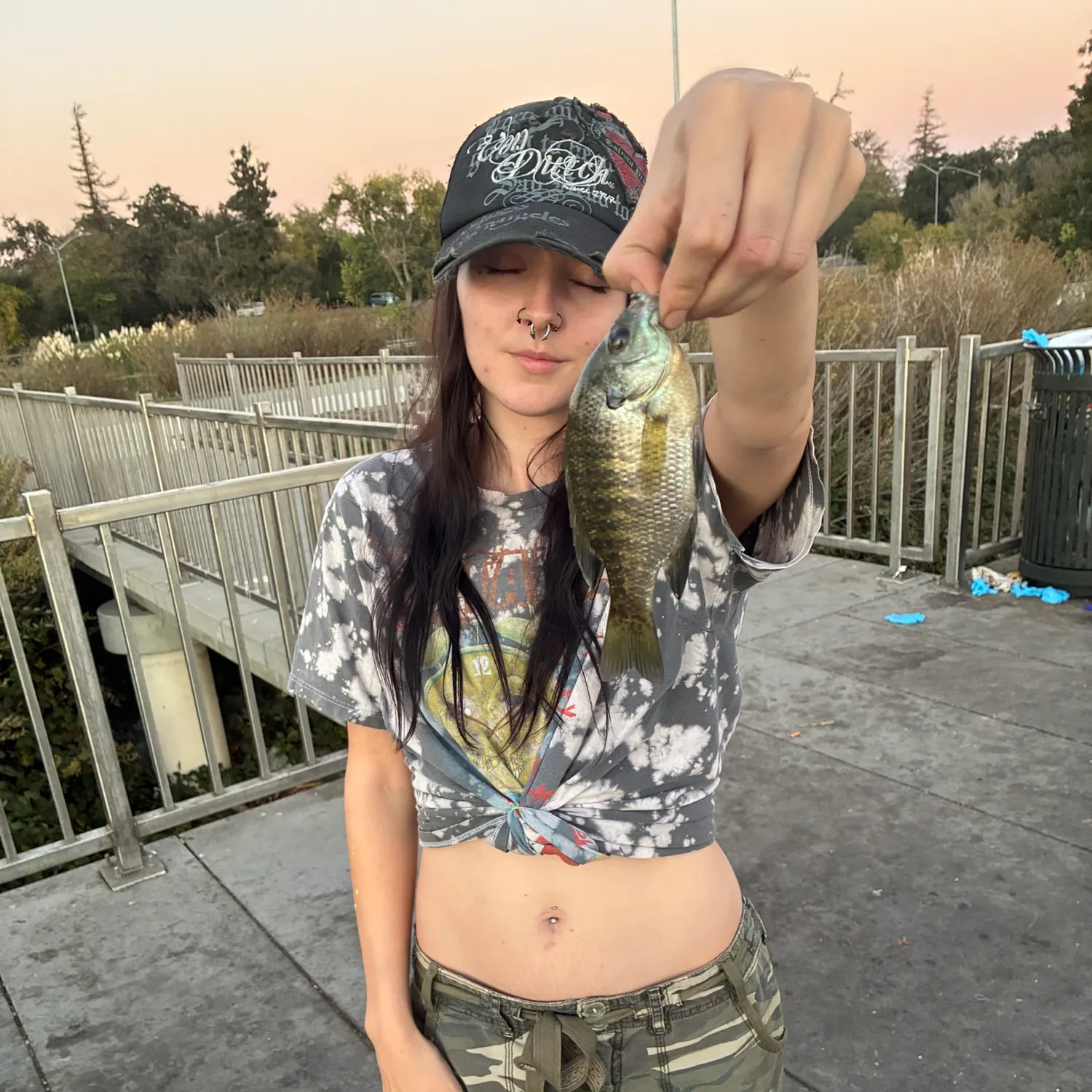 Bluegill caught on Fishbrain