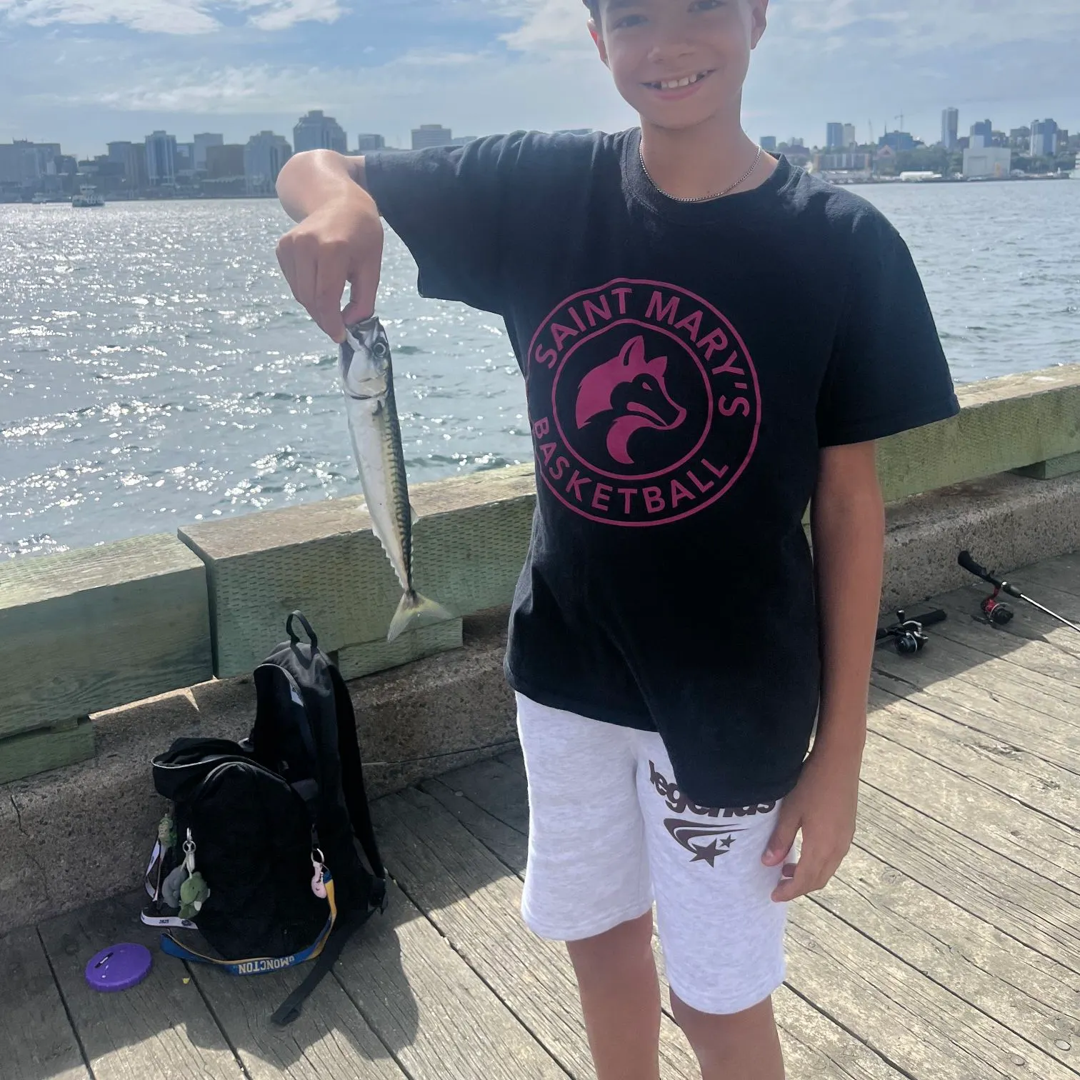 Atlantic mackerel caught on Fishbrain