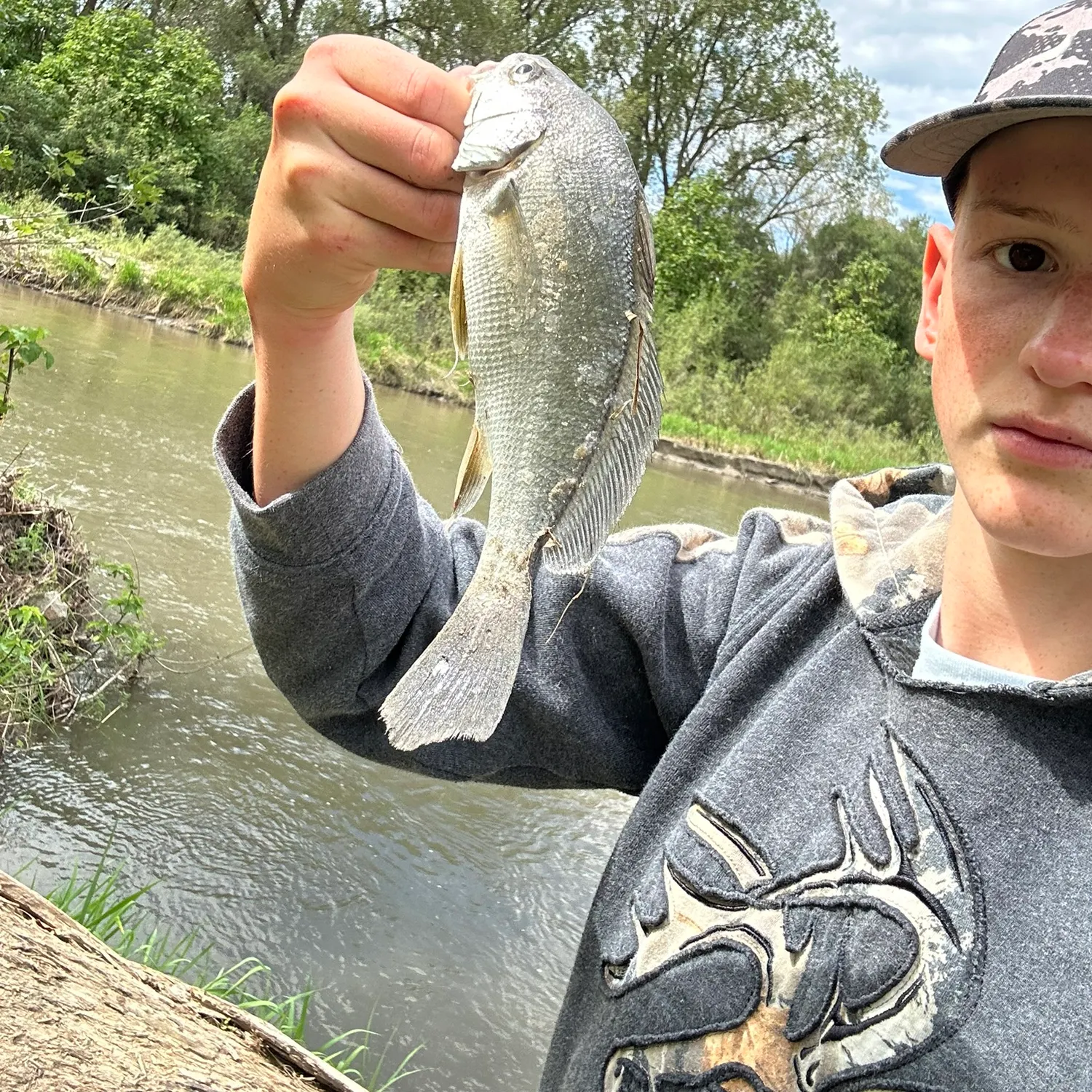Freshwater drum caught on Fishbrain