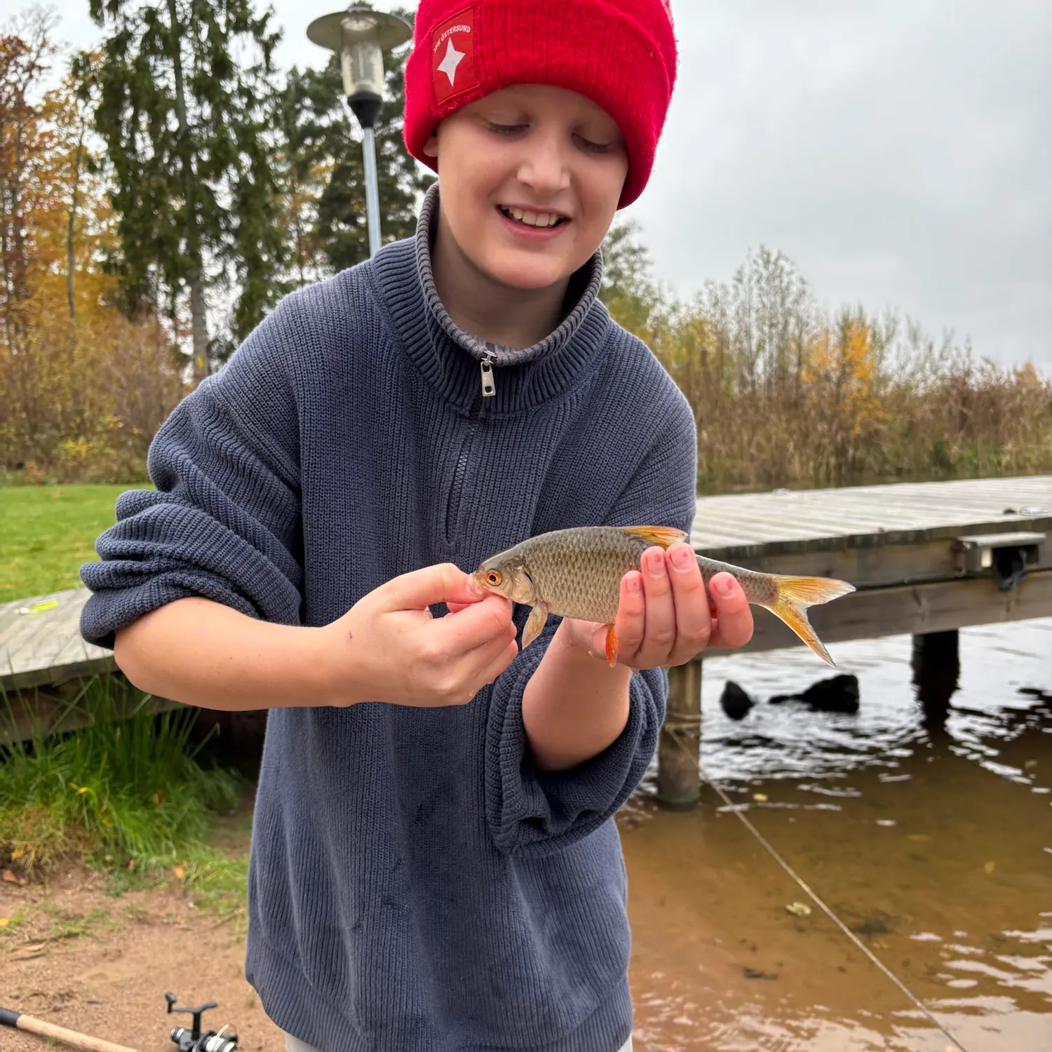Common roach caught on Fishbrain