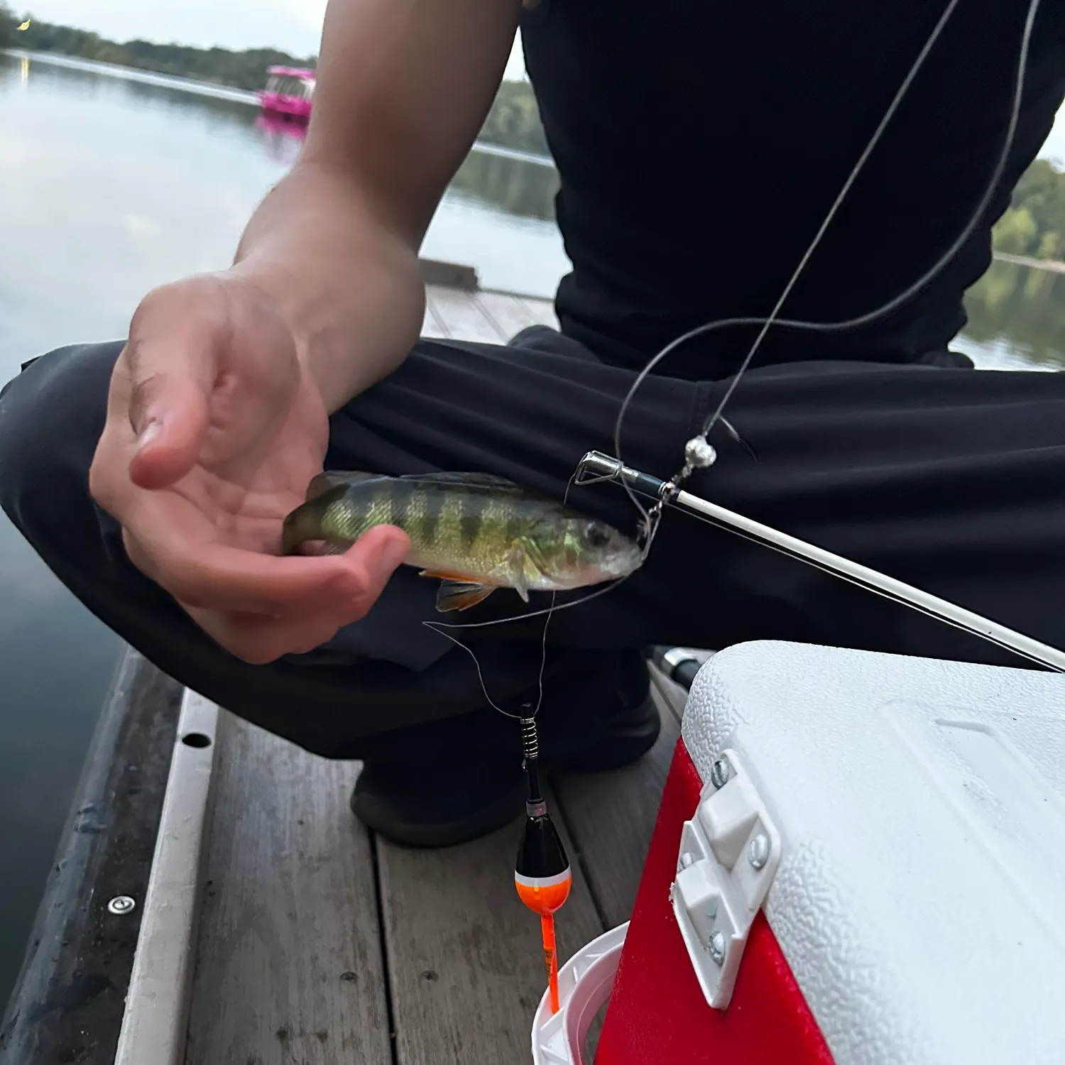 catch