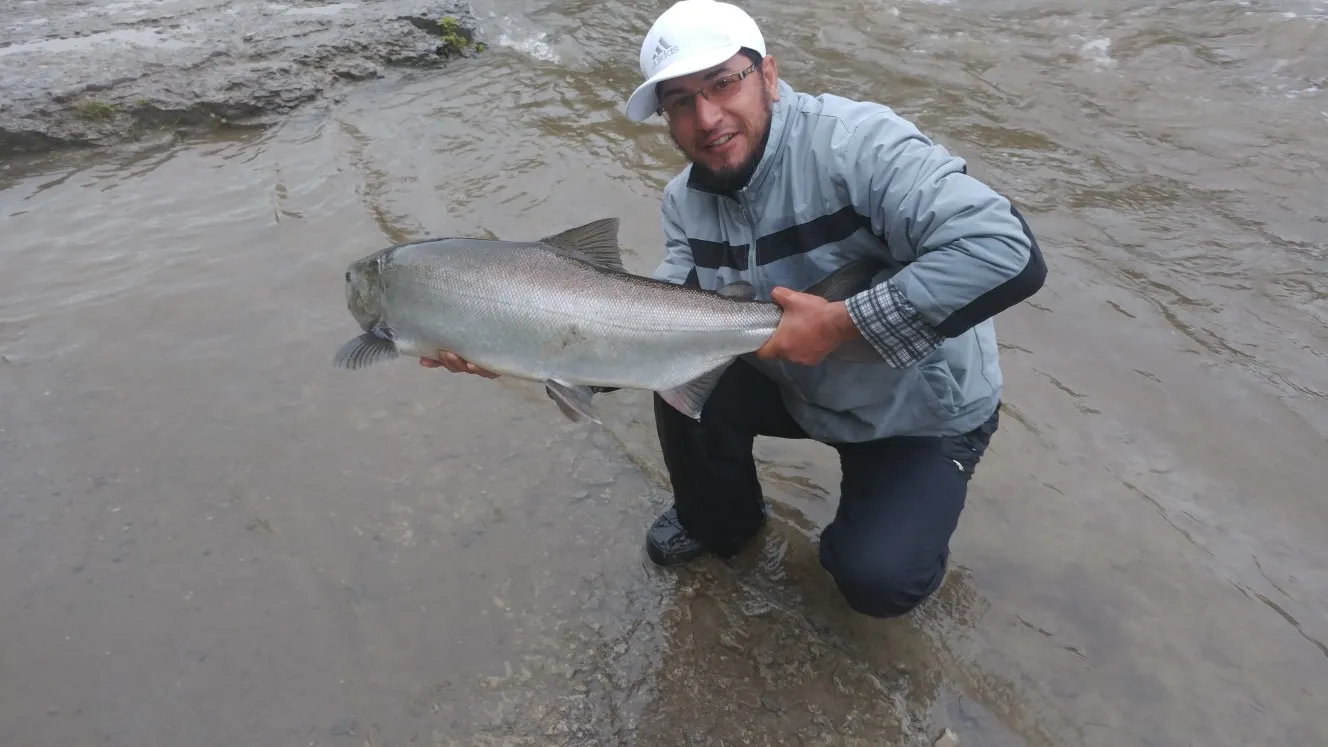 Post image from ahabiby