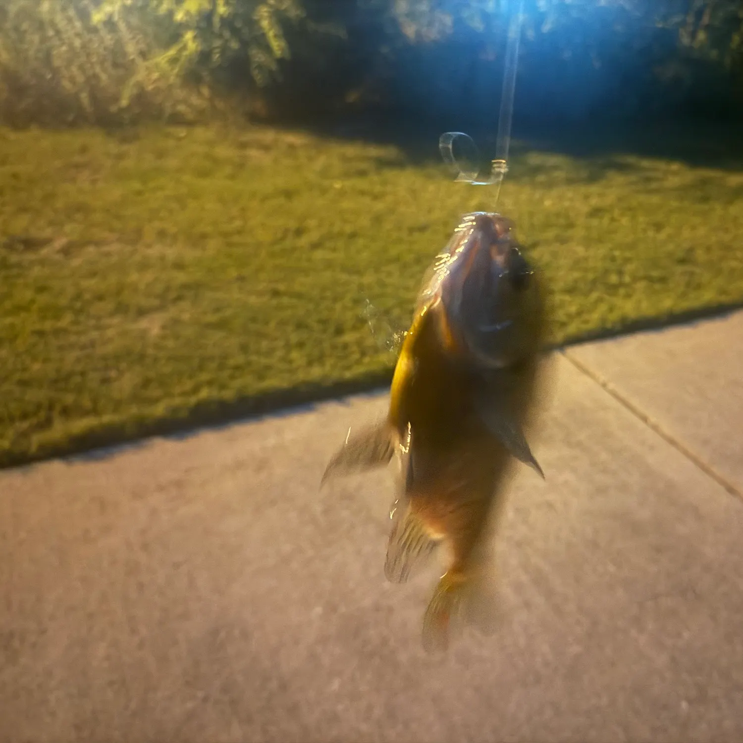 catch
