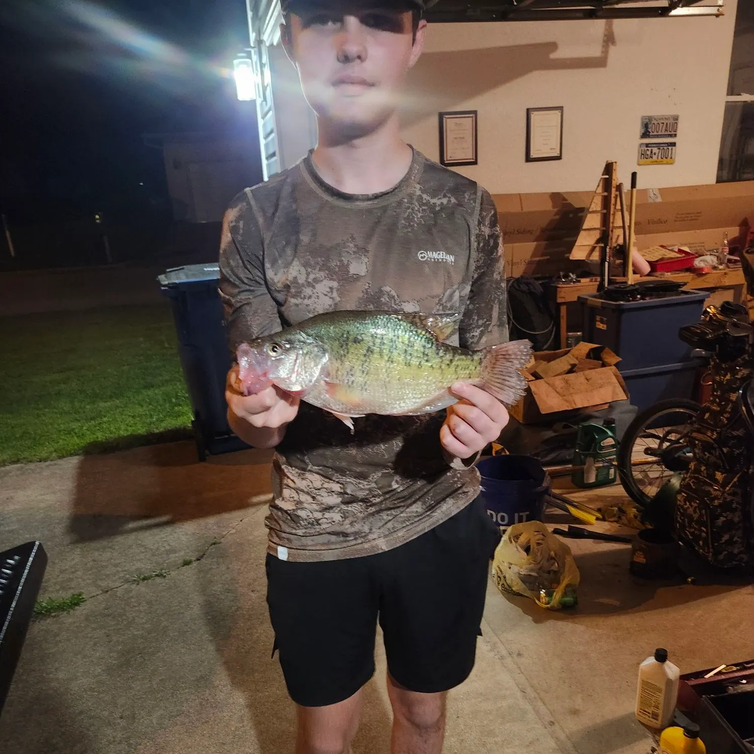 recently logged catches