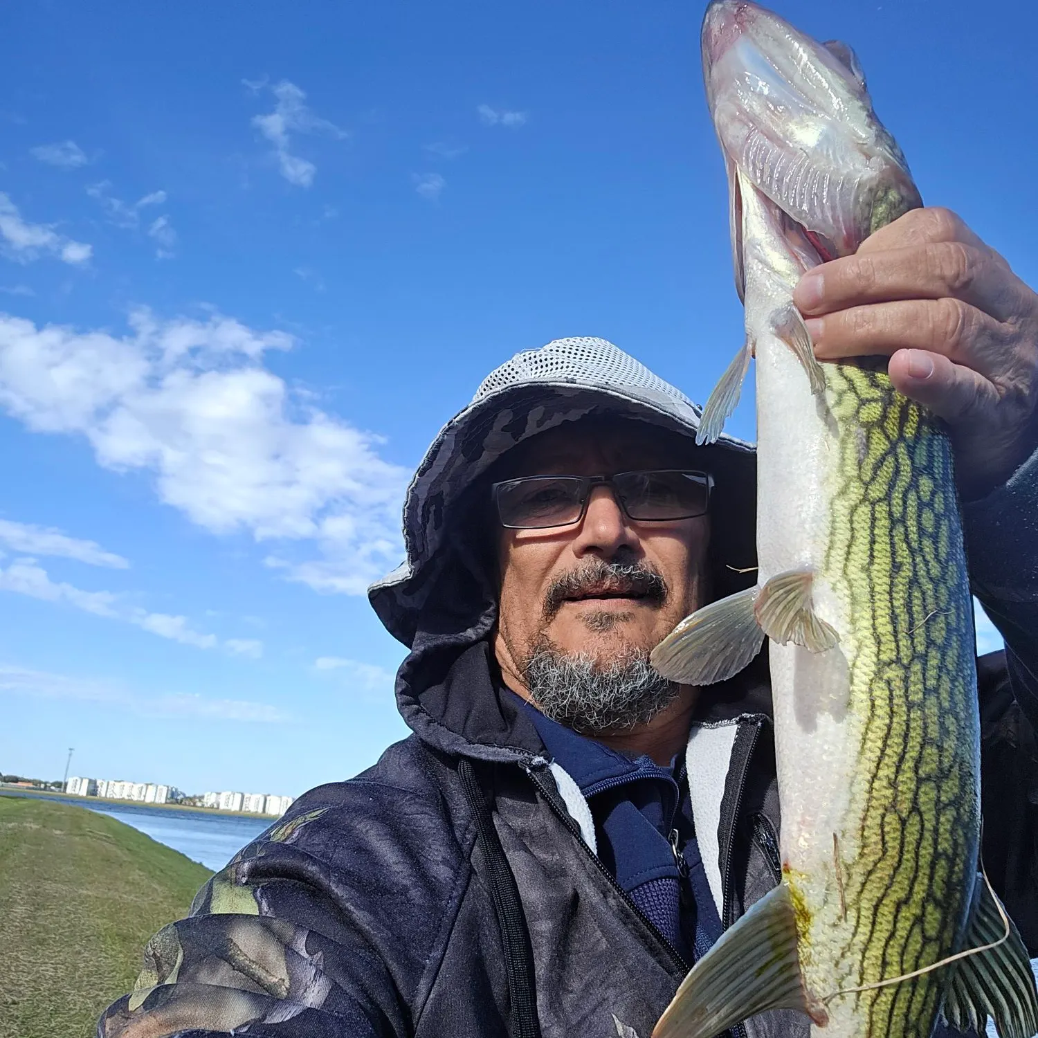 The most recent Chain pickerel catches on Fishbrain