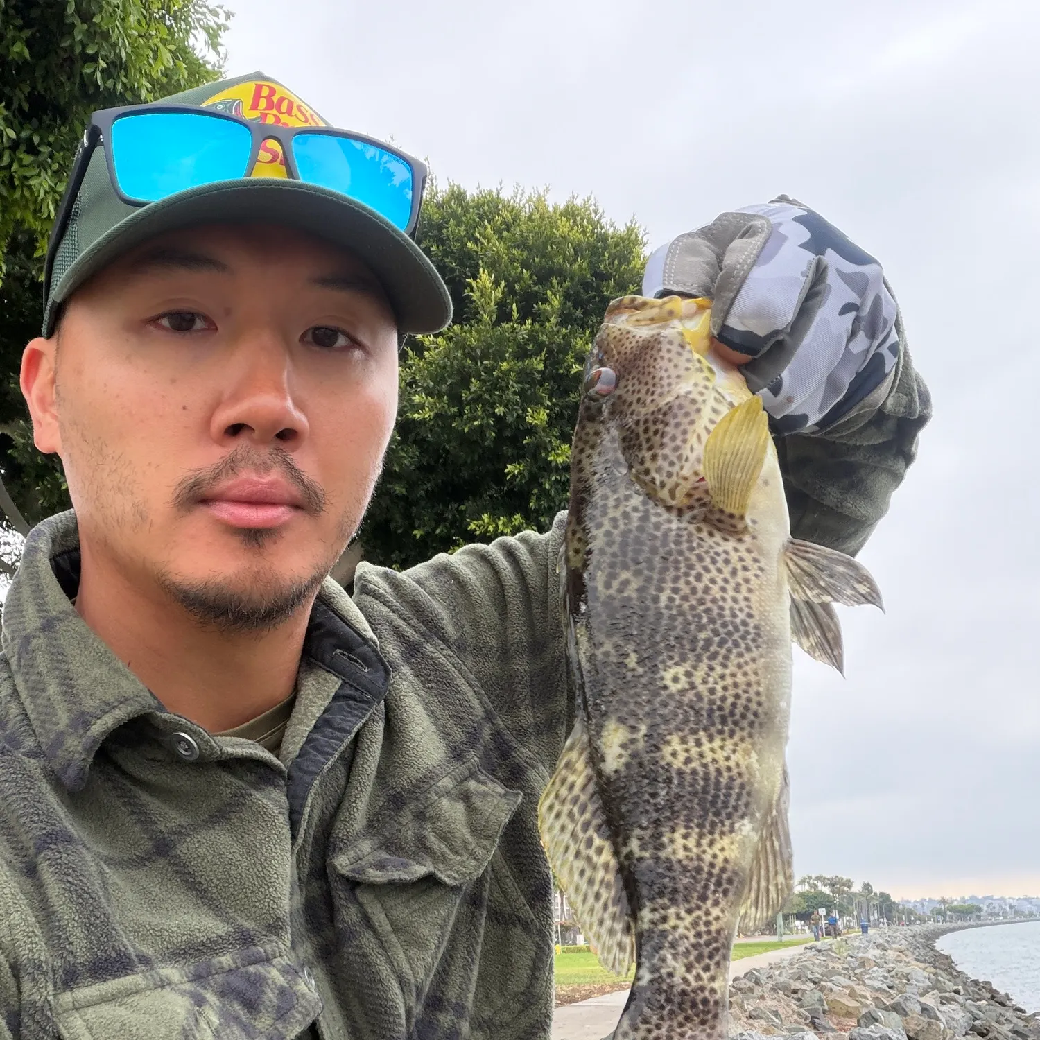The most recent Spotted sand bass catches on Fishbrain