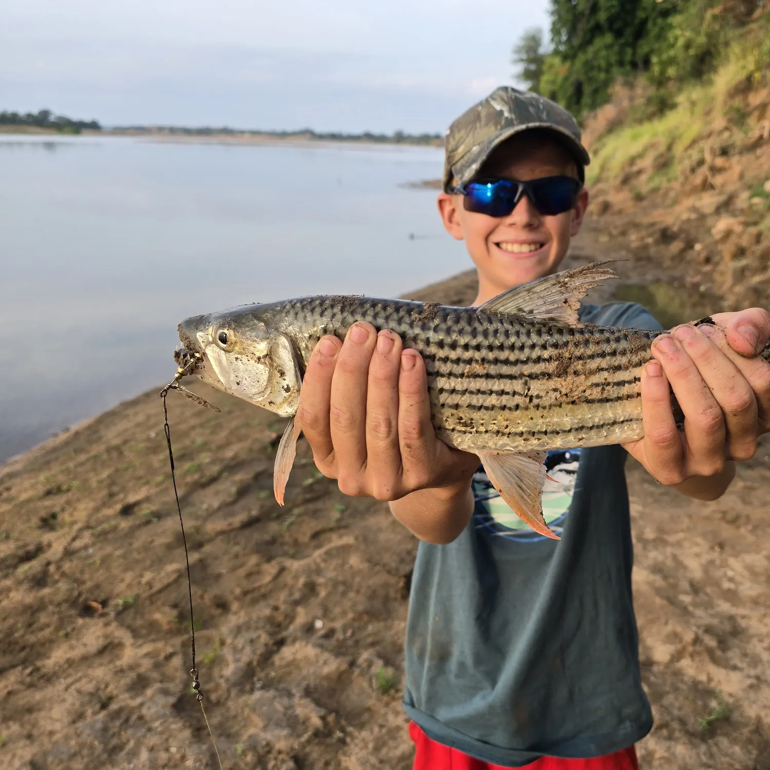 The most recent African tigerfish catches on Fishbrain