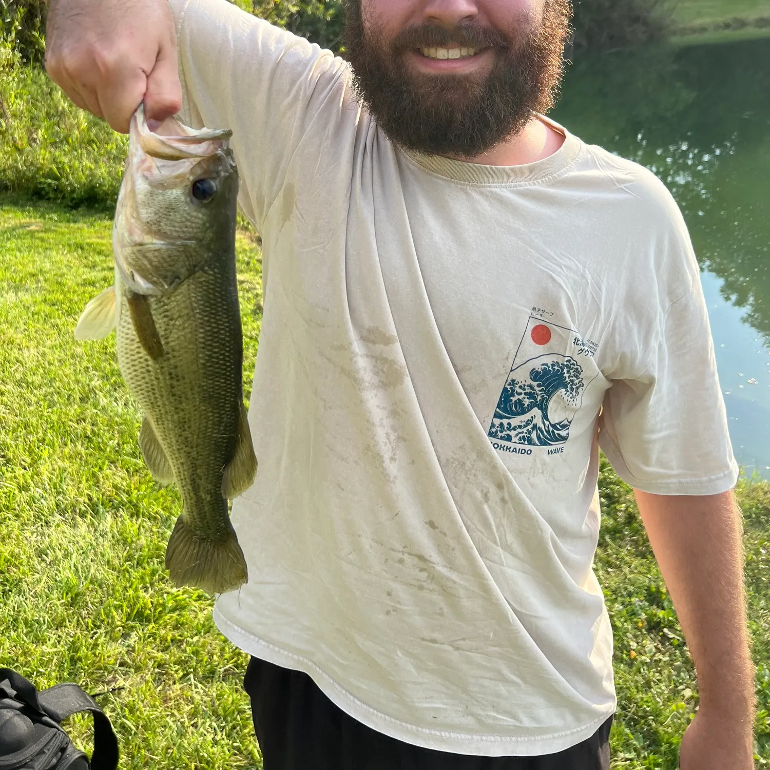 Largemouth bass caught on Fishbrain
