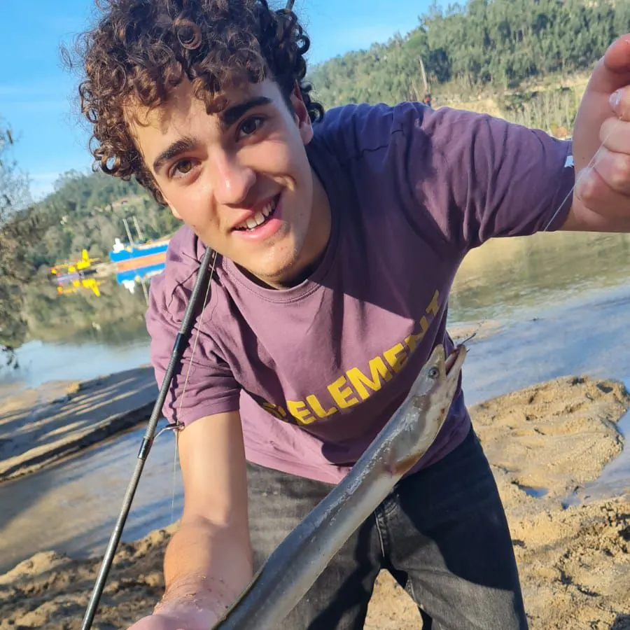 The most recent European eel catches on Fishbrain