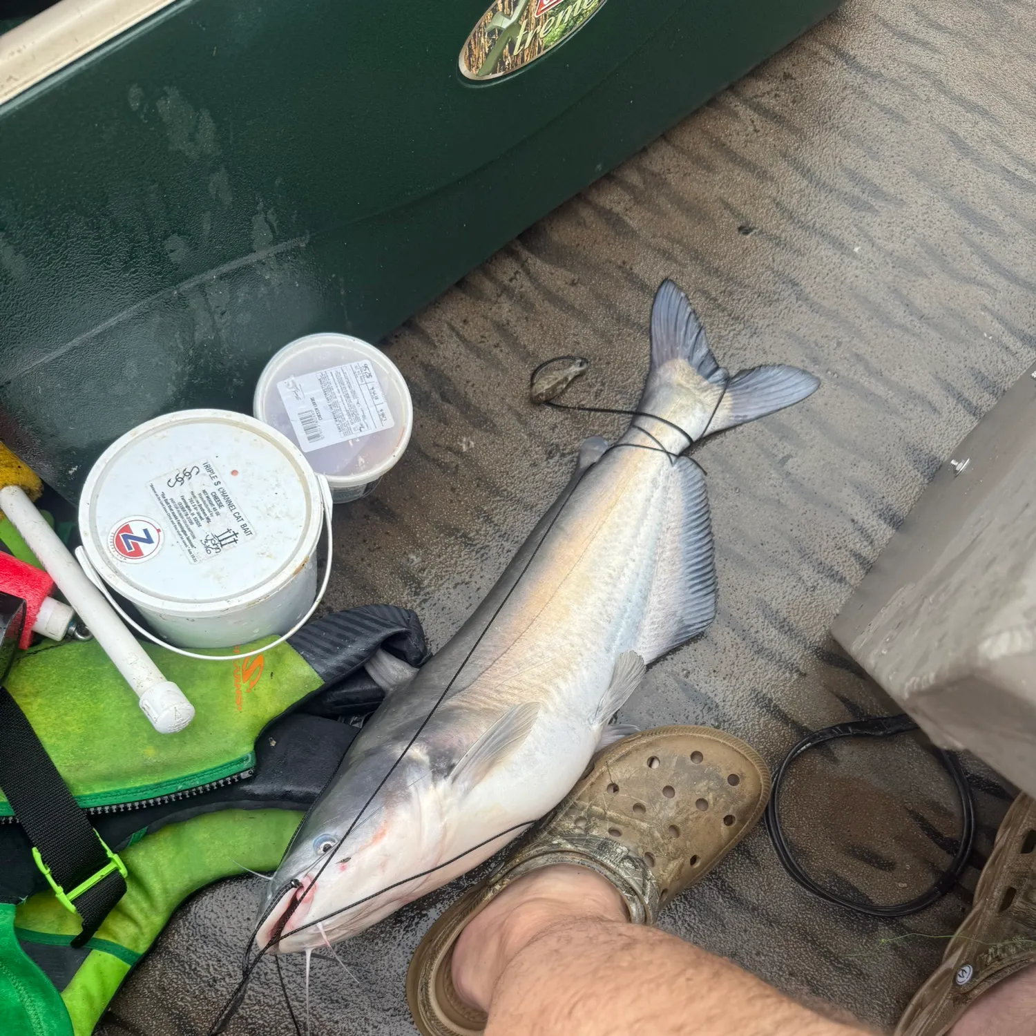 catch