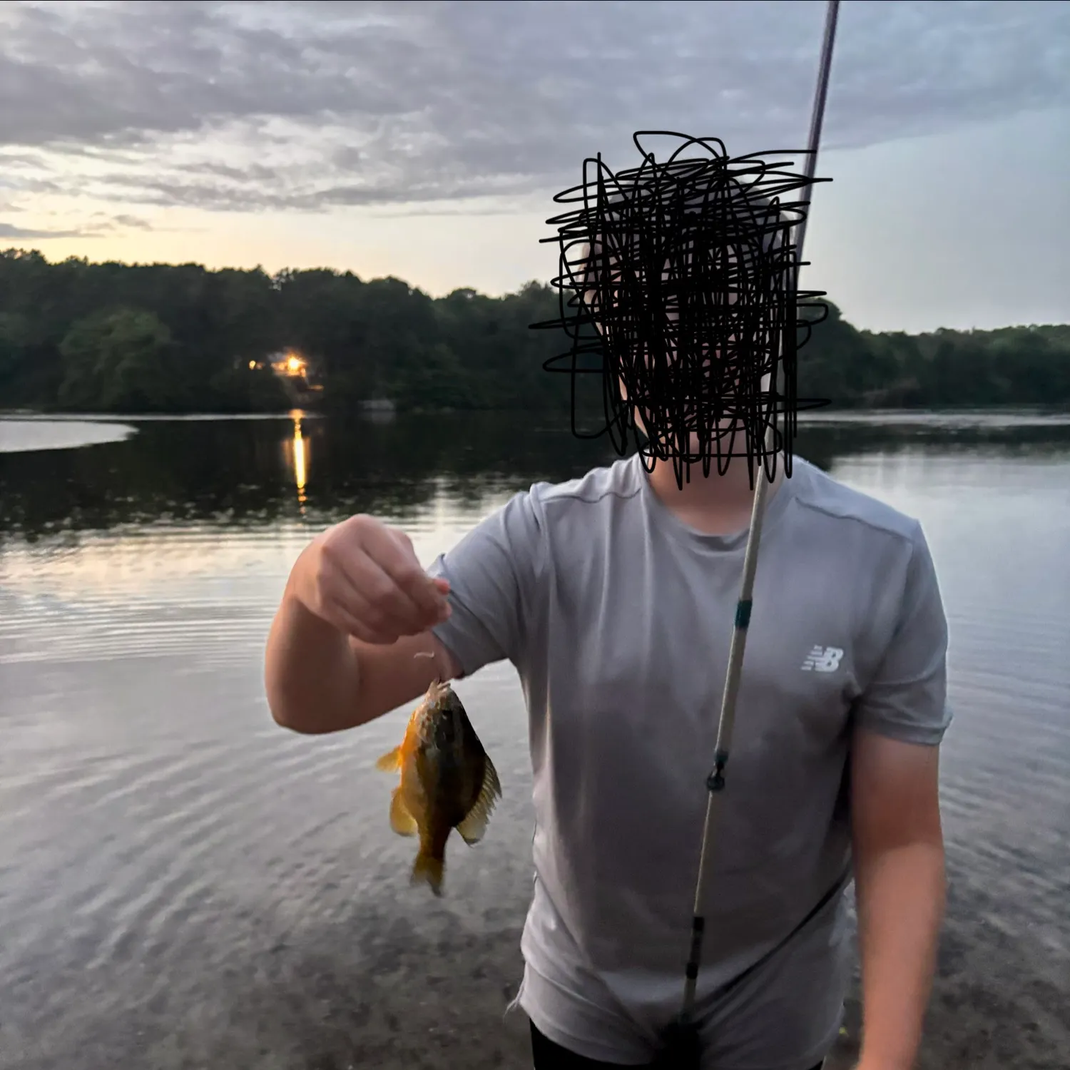 Bluegill caught on Fishbrain
