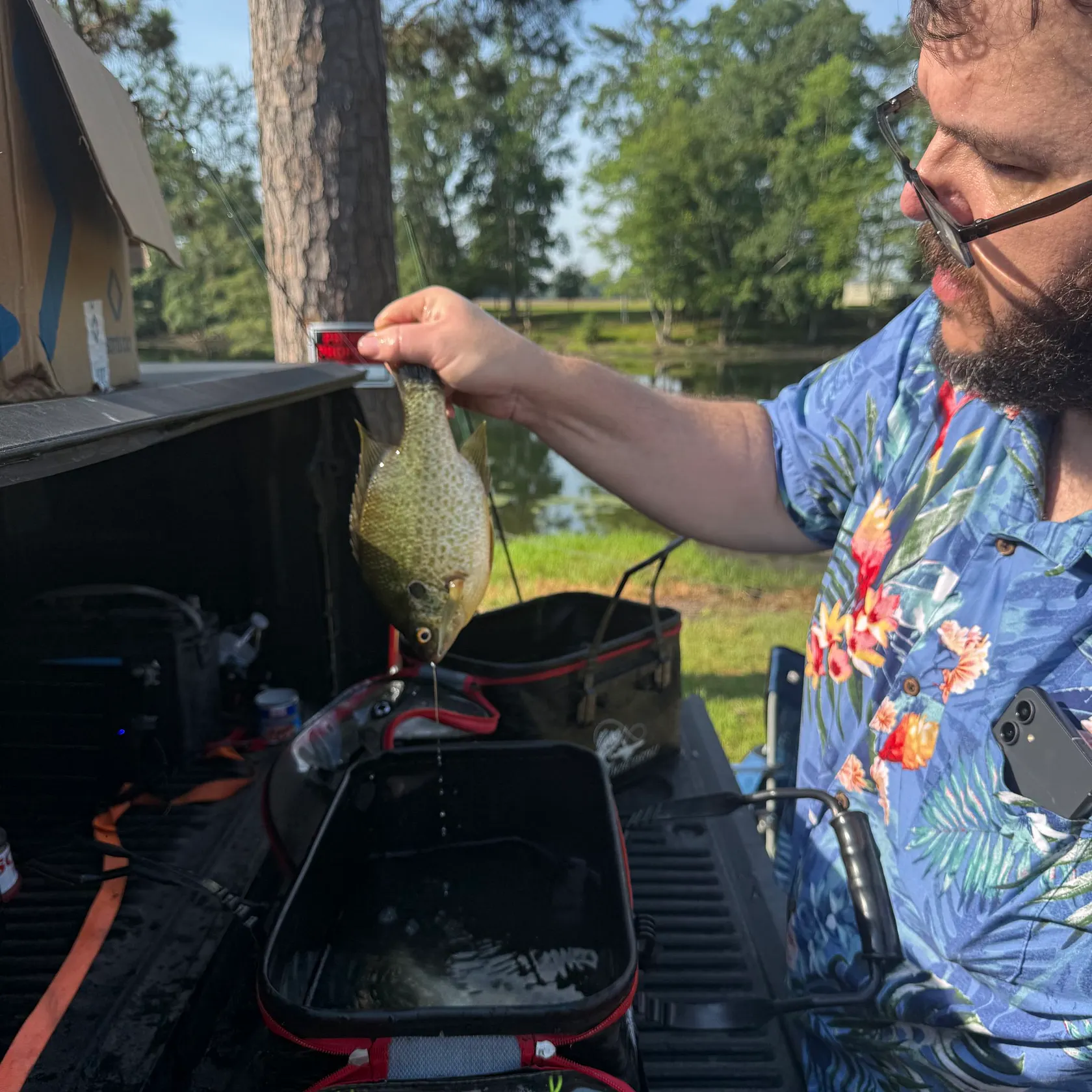 recently logged catches