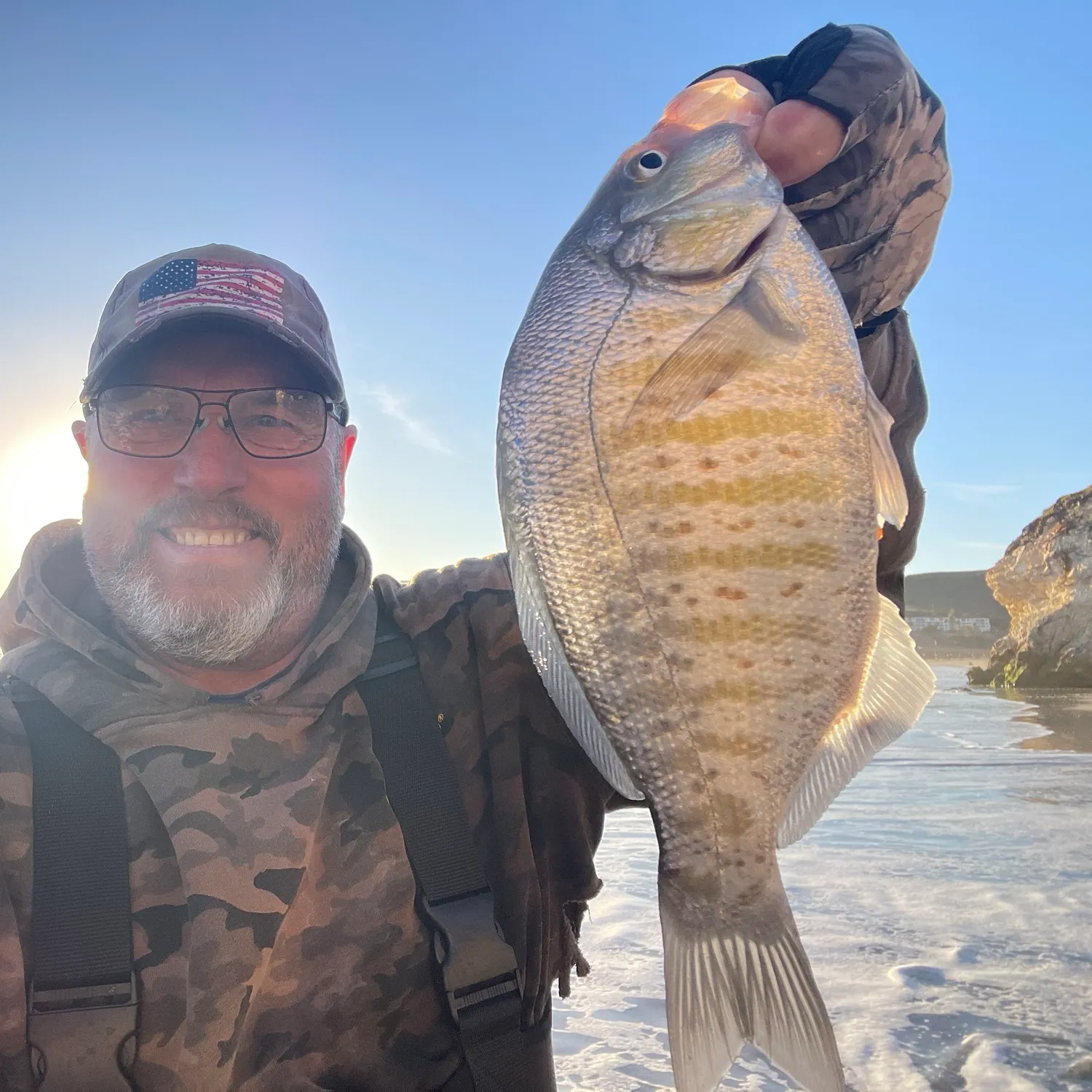 The most recent Barred surfperch catches on Fishbrain