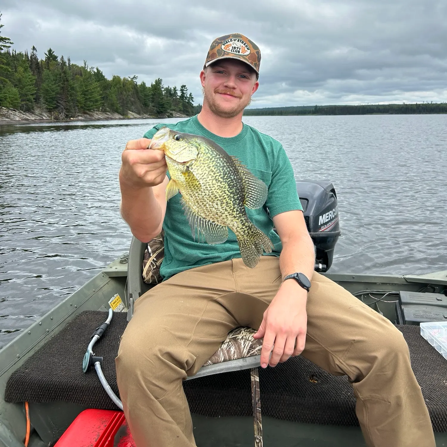 Black crappie caught on Fishbrain