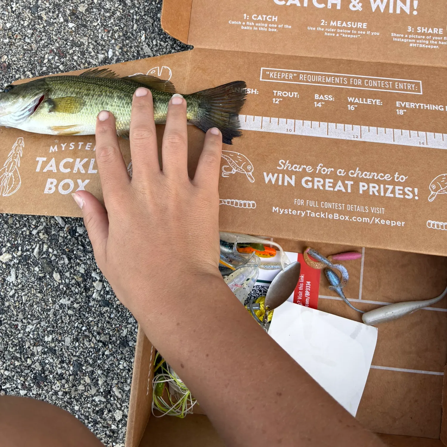 Largemouth bass caught on Fishbrain