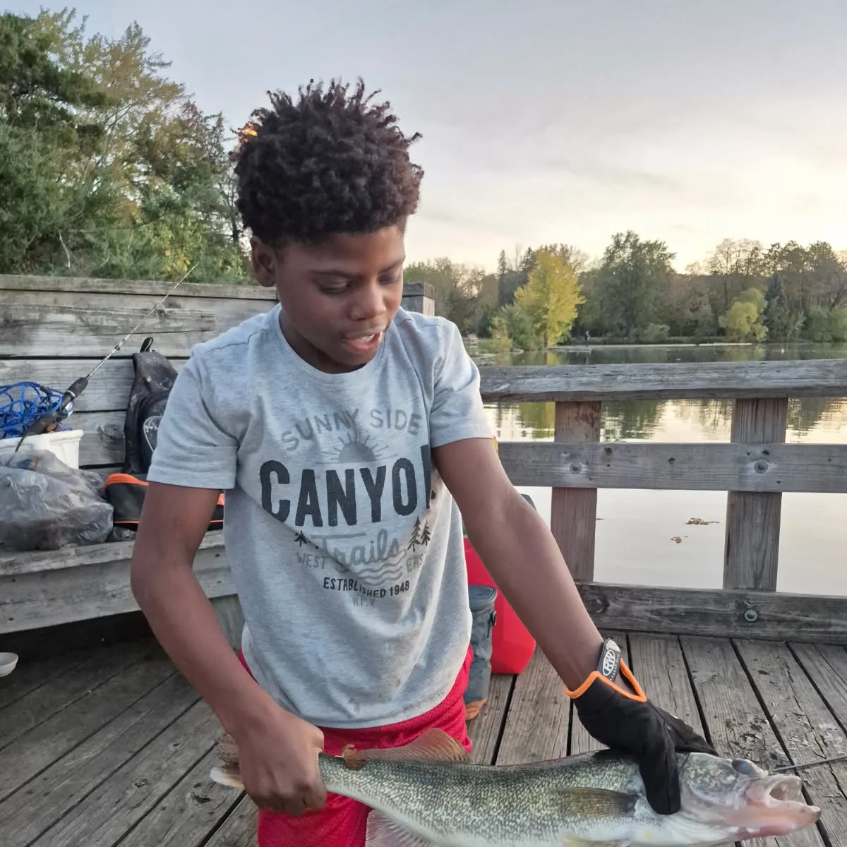 Walleye caught on Fishbrain