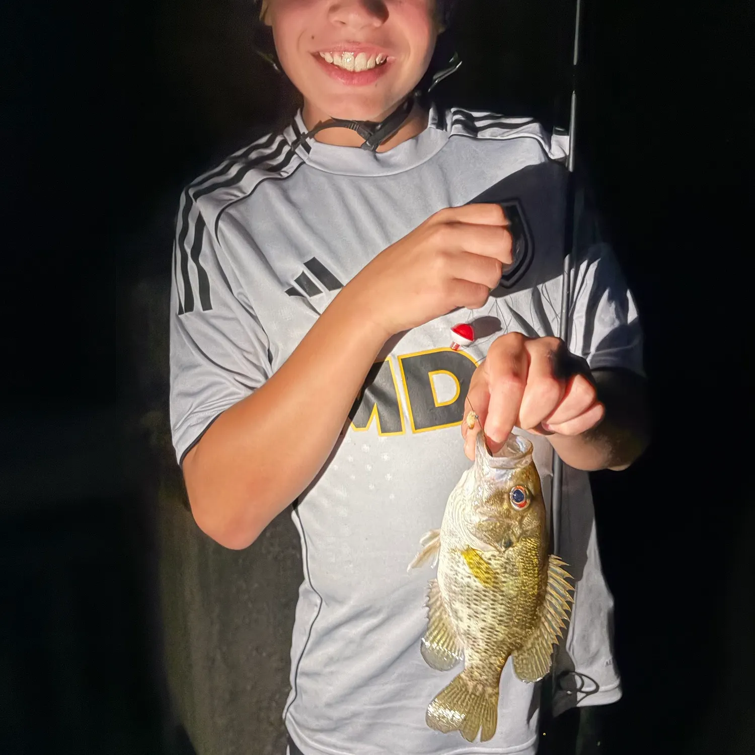 Rock bass caught on Fishbrain