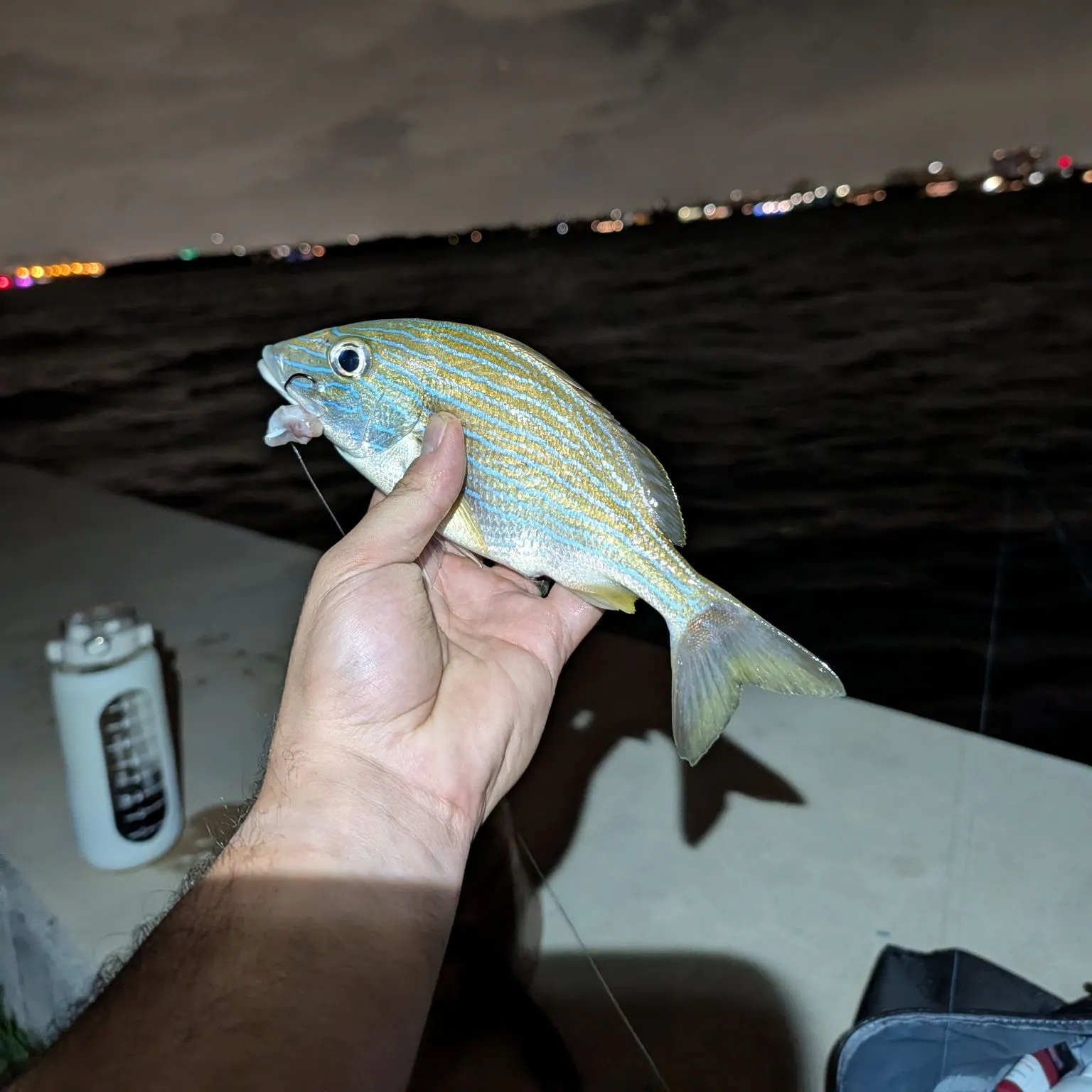 The most recent White grunt catches on Fishbrain