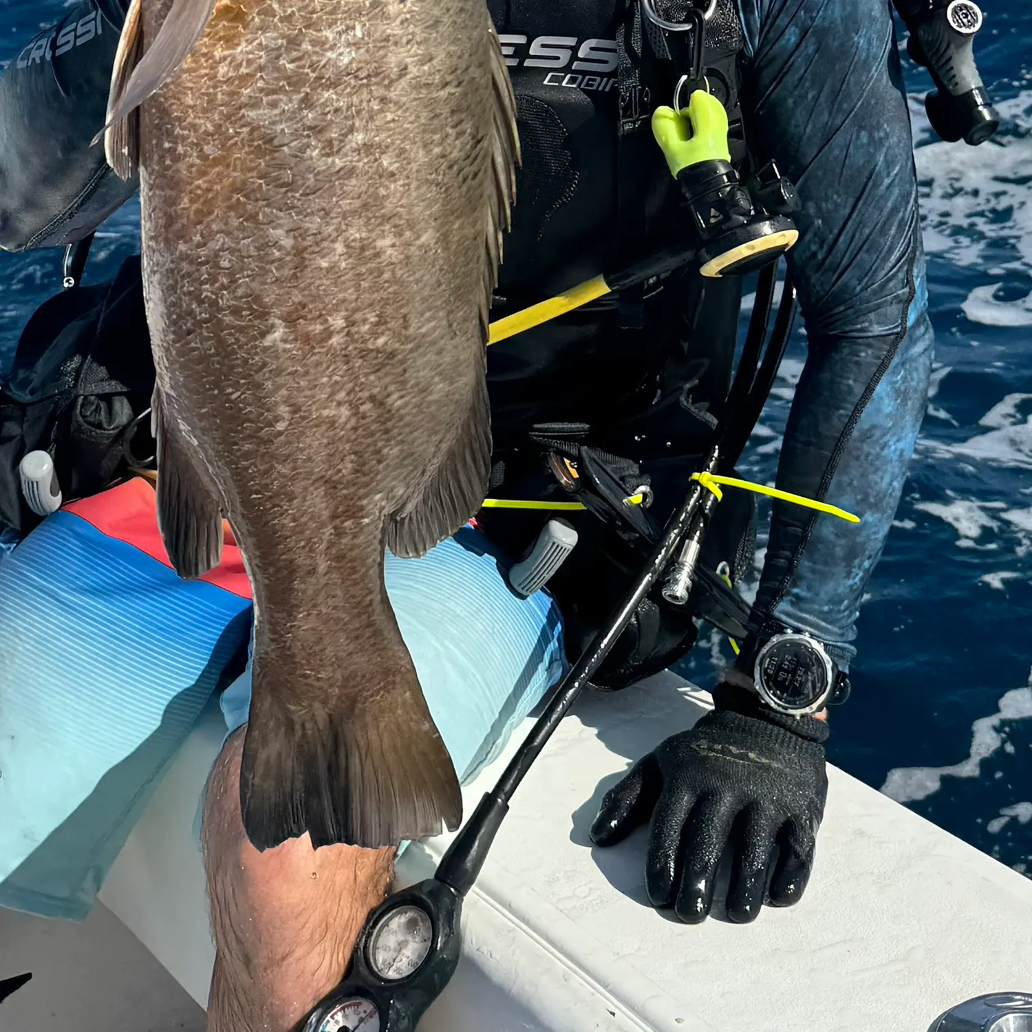 The most popular recent Cubera snapper catch on Fishbrain