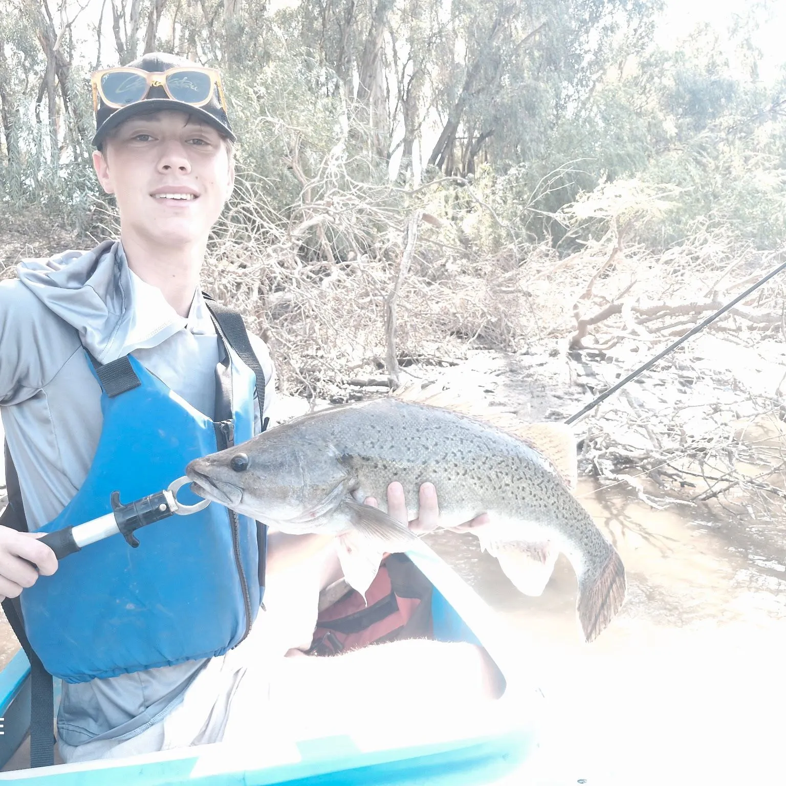 The most recent Trout cod catches on Fishbrain