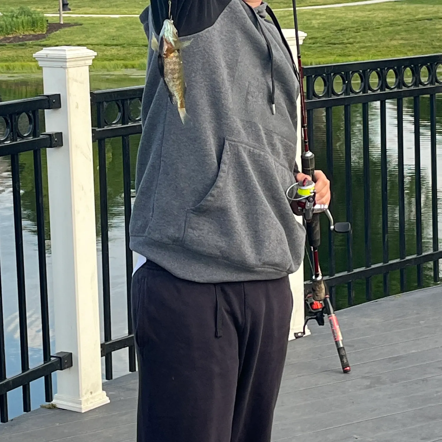 The most recent Slippery dick wrasse catches on Fishbrain