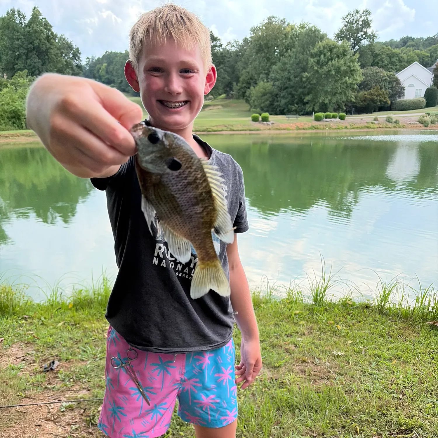 Bluegill caught on Fishbrain