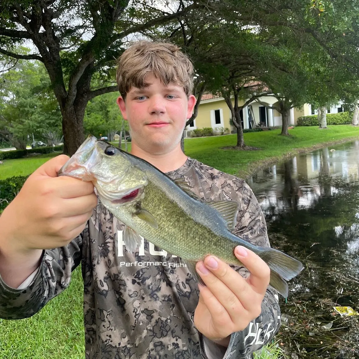 The most recent Florida bass catches on Fishbrain