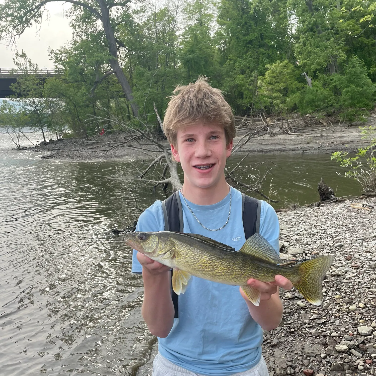 Walleye caught on Fishbrain