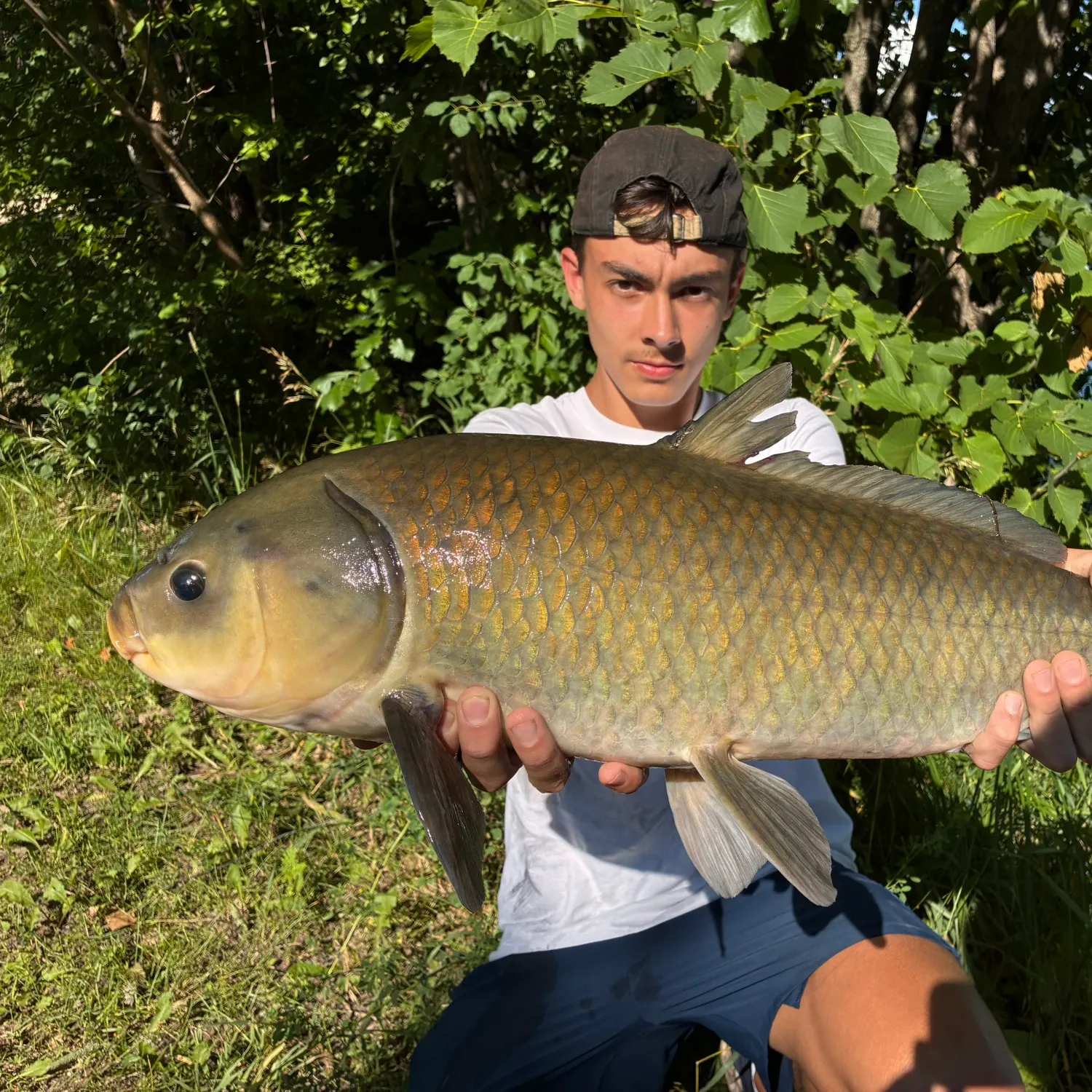 The most recent Bigmouth buffalo catches on Fishbrain