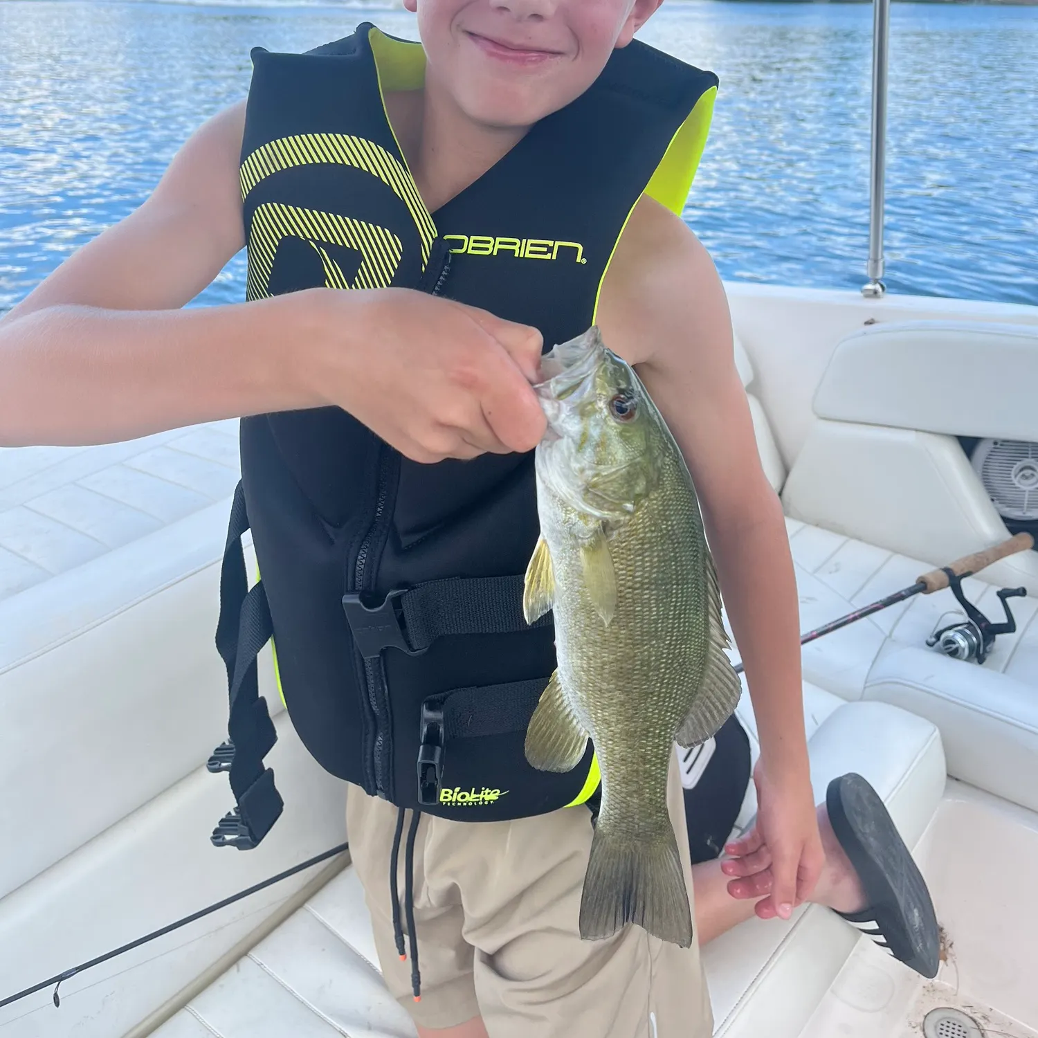 Smallmouth bass caught on Fishbrain