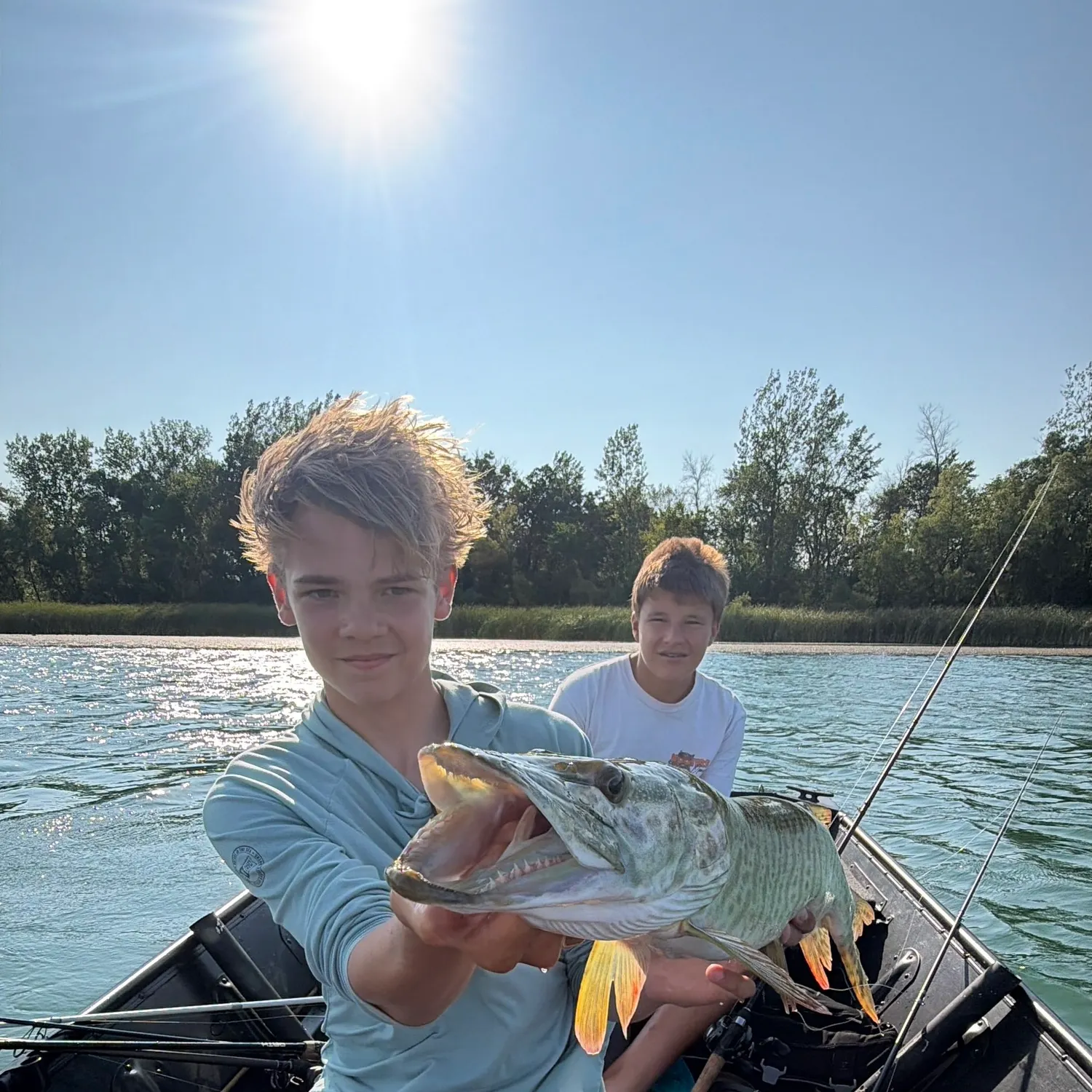The most recent Tiger muskellunge catches on Fishbrain