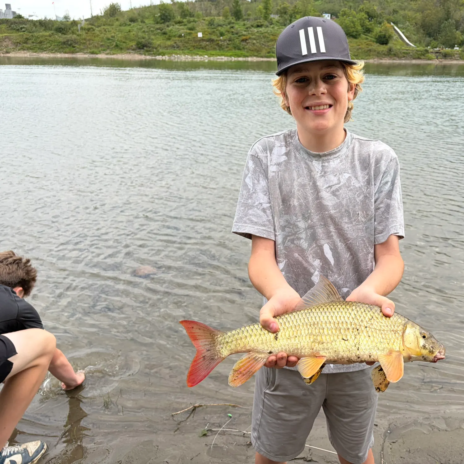 Shorthead redhorse caught on Fishbrain