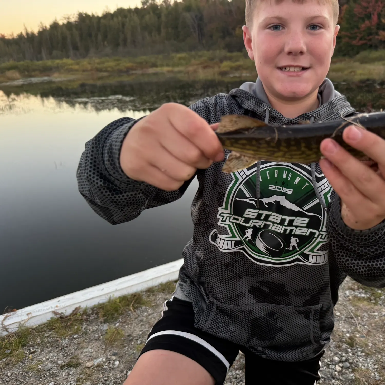 Chain pickerel caught on Fishbrain