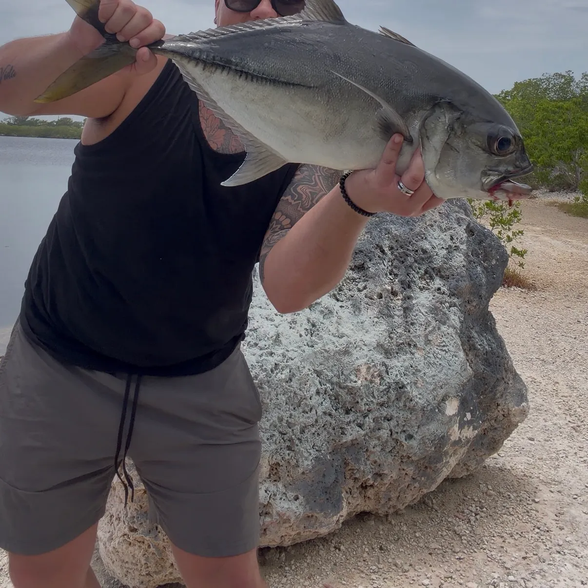 The most recent Horse-eye jack catches on Fishbrain
