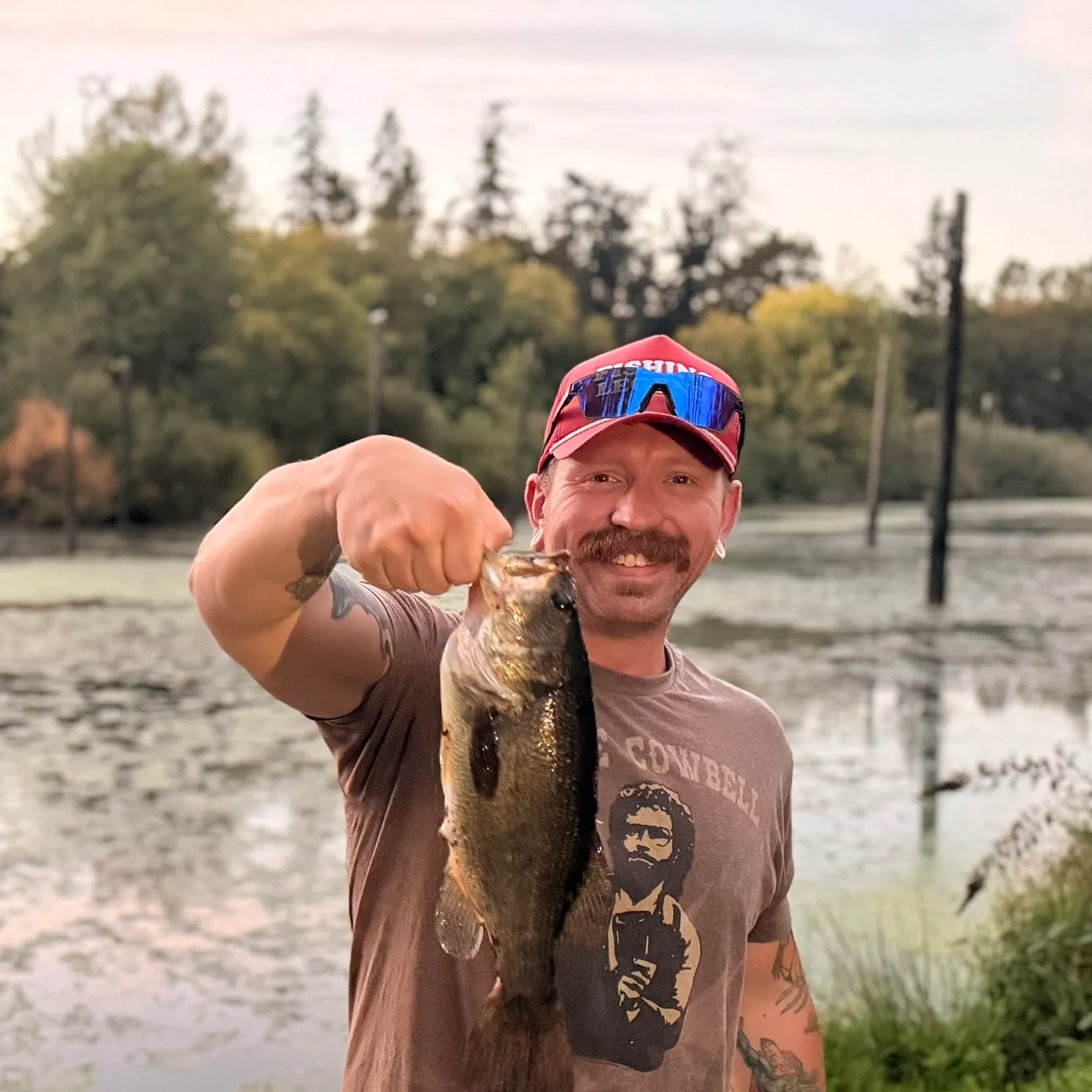 Largemouth bass caught on Fishbrain